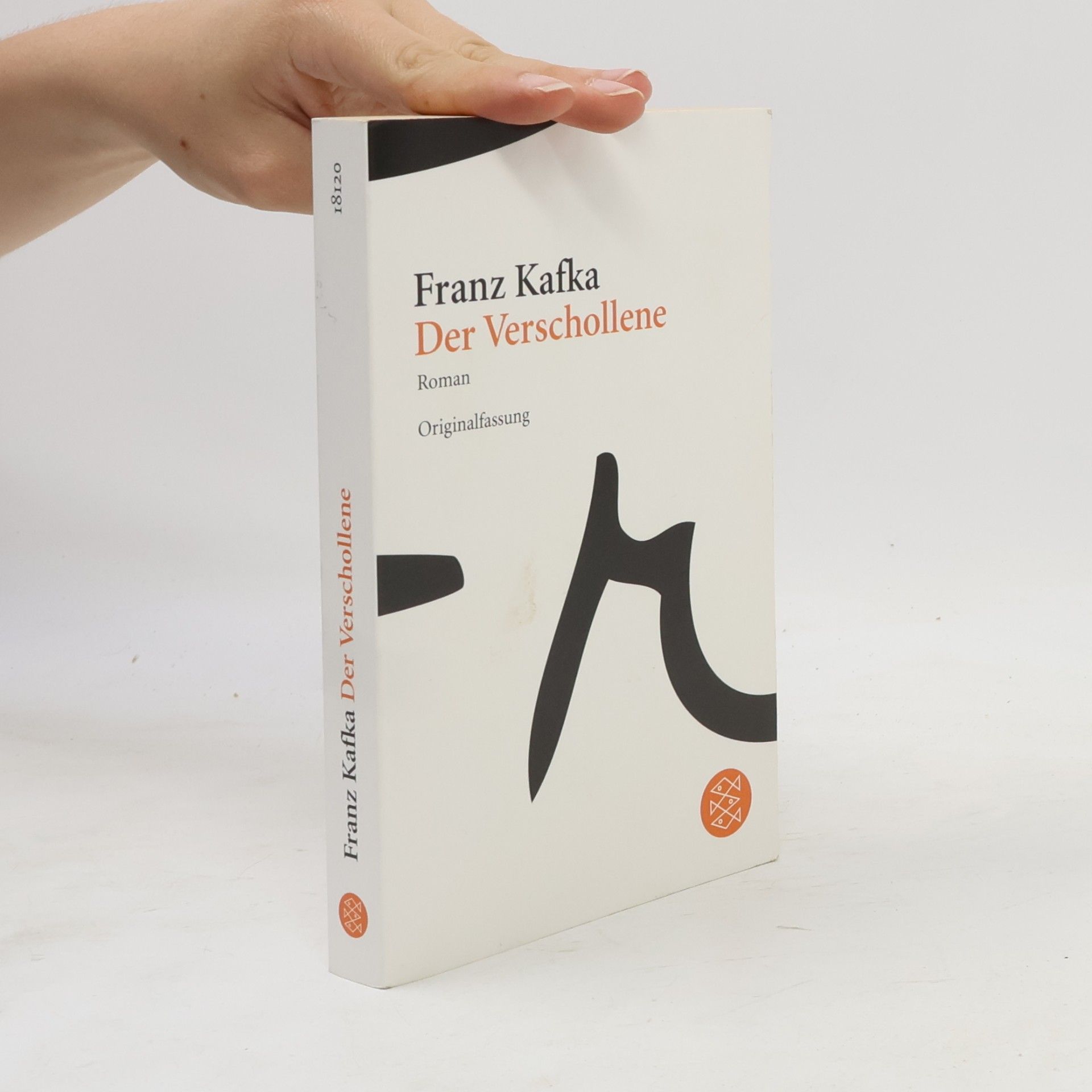 Franz Kafka Der Verschollene