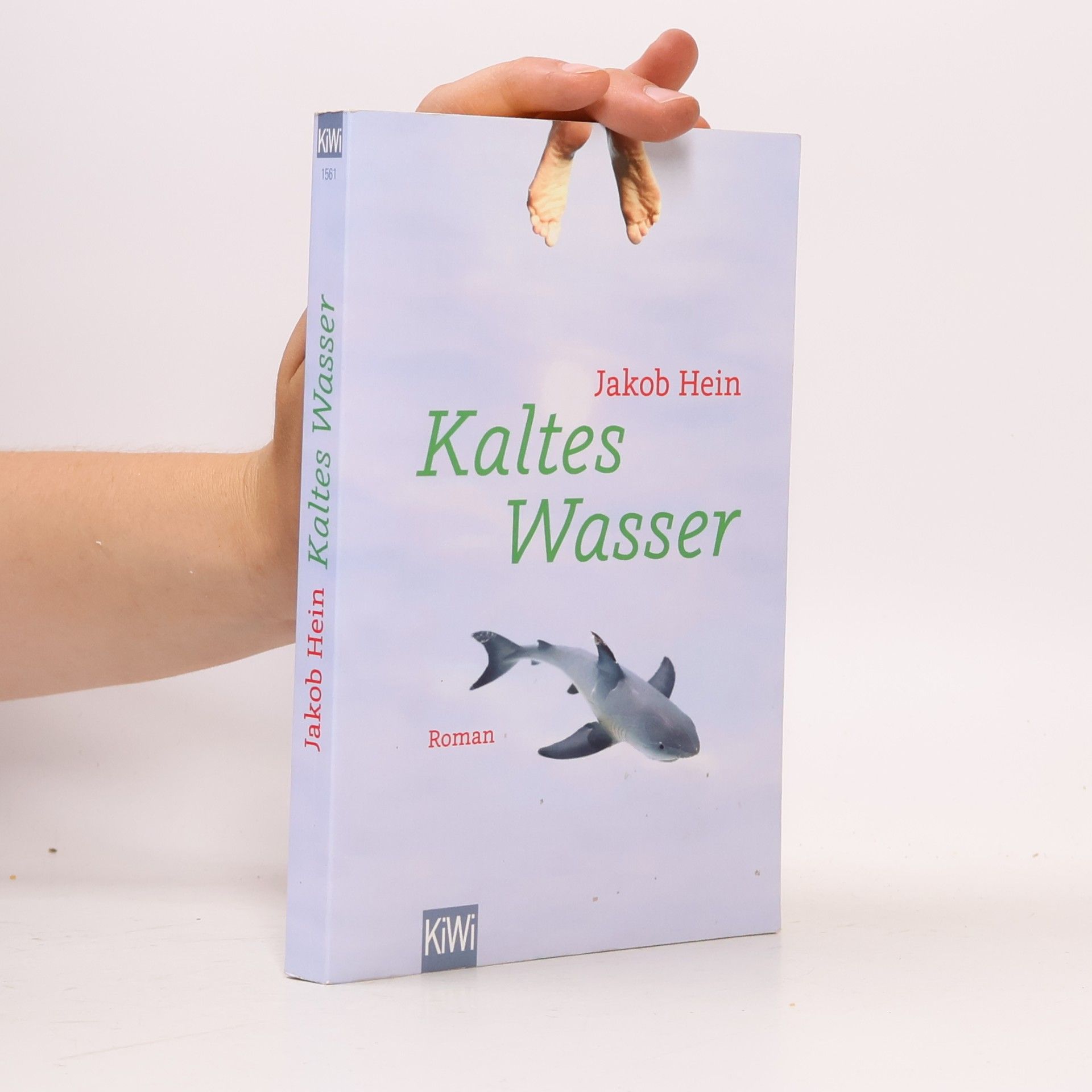 Jakob Hein Kaltes Wasser