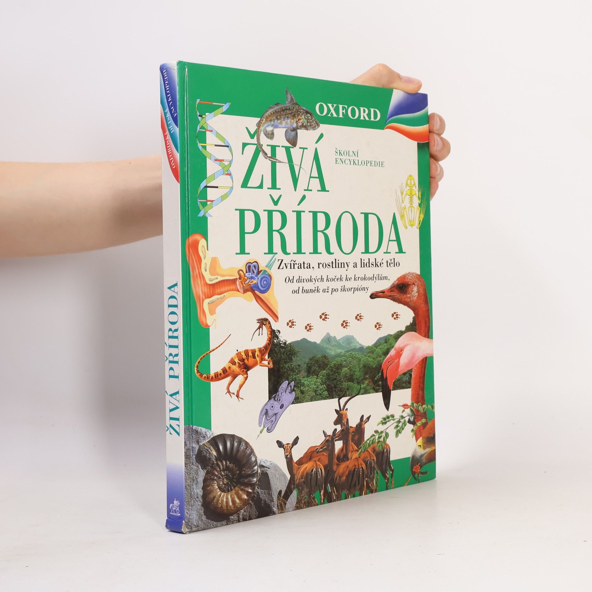 Markéta Hadačová Živá příroda