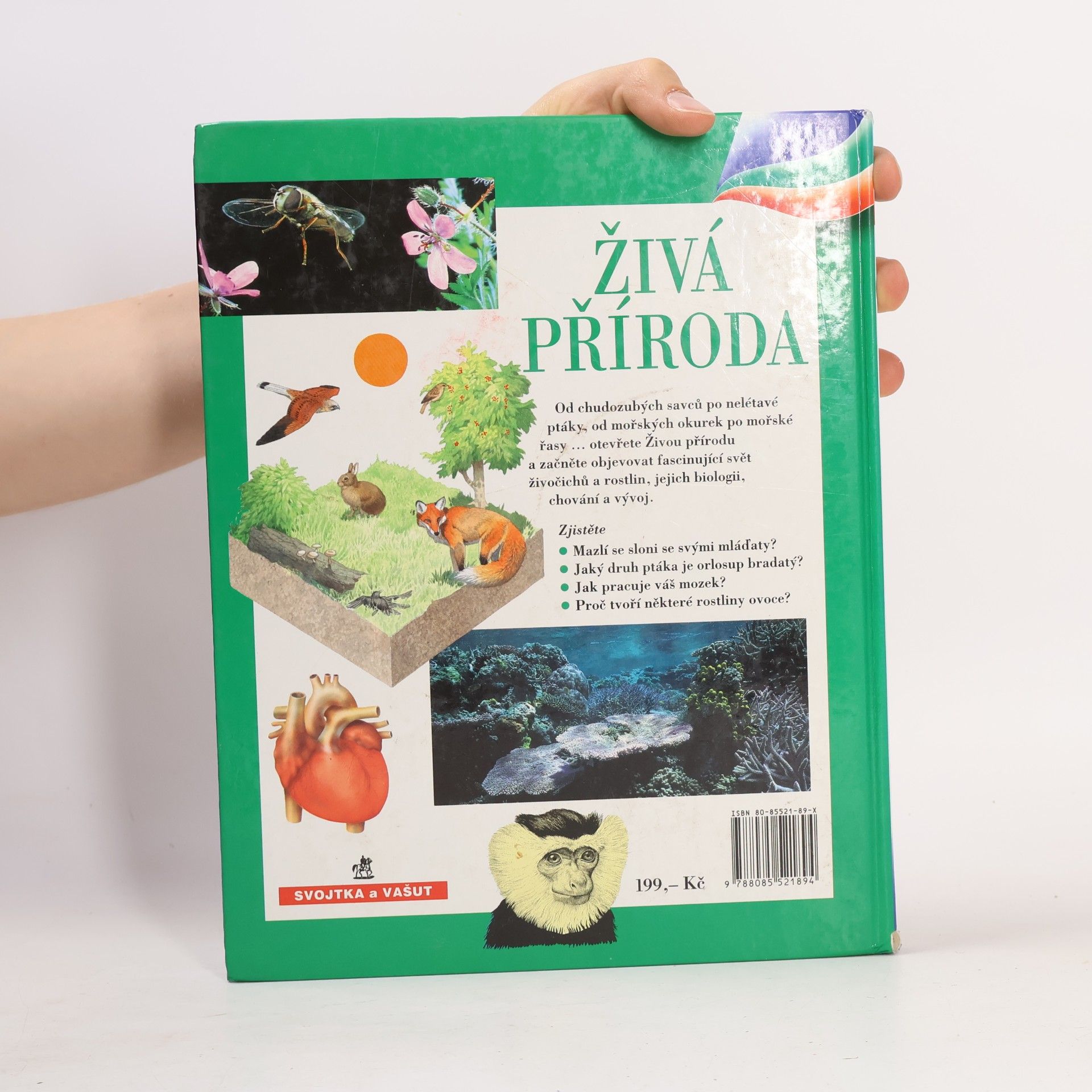 Markéta Hadačová Živá příroda