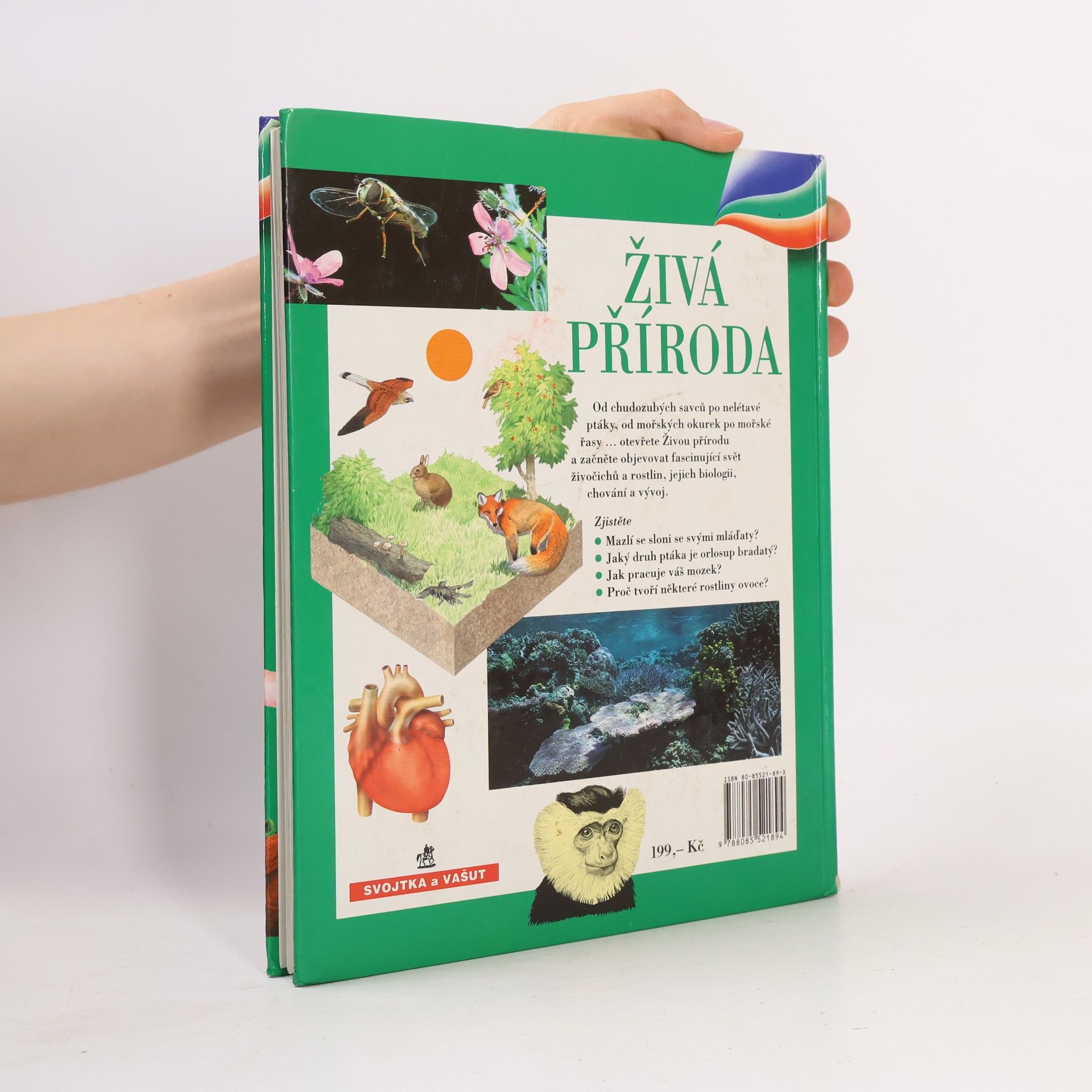 Markéta Hadačová Živá příroda