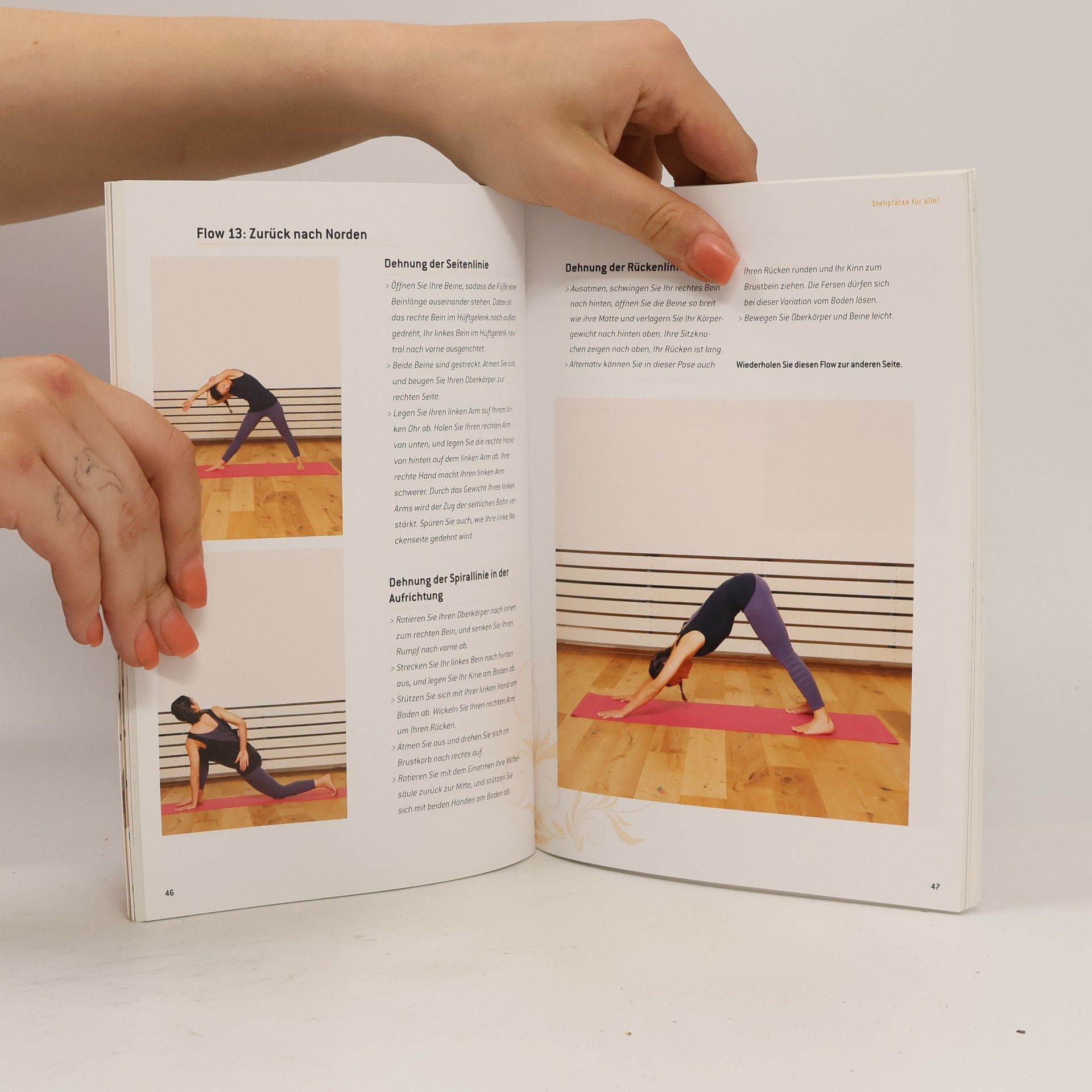Amiena Zylla Yoga für die Faszien