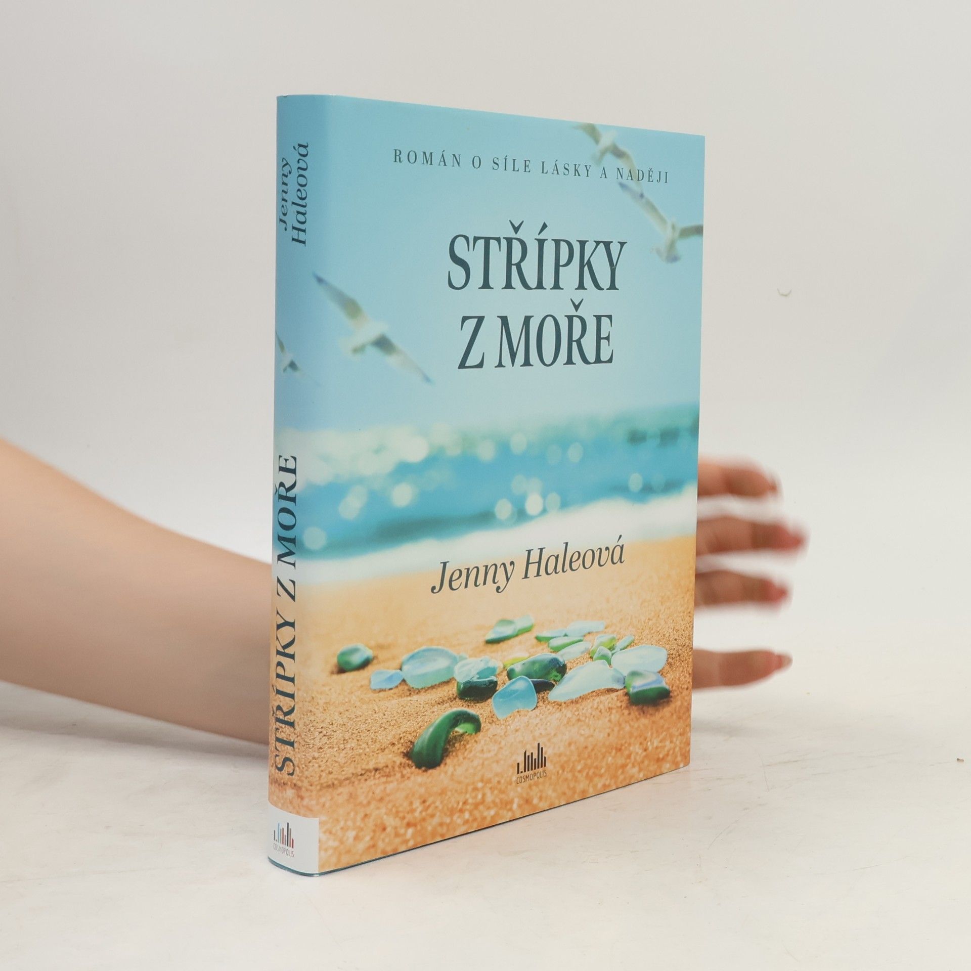 Jenny Hale Střípky z moře