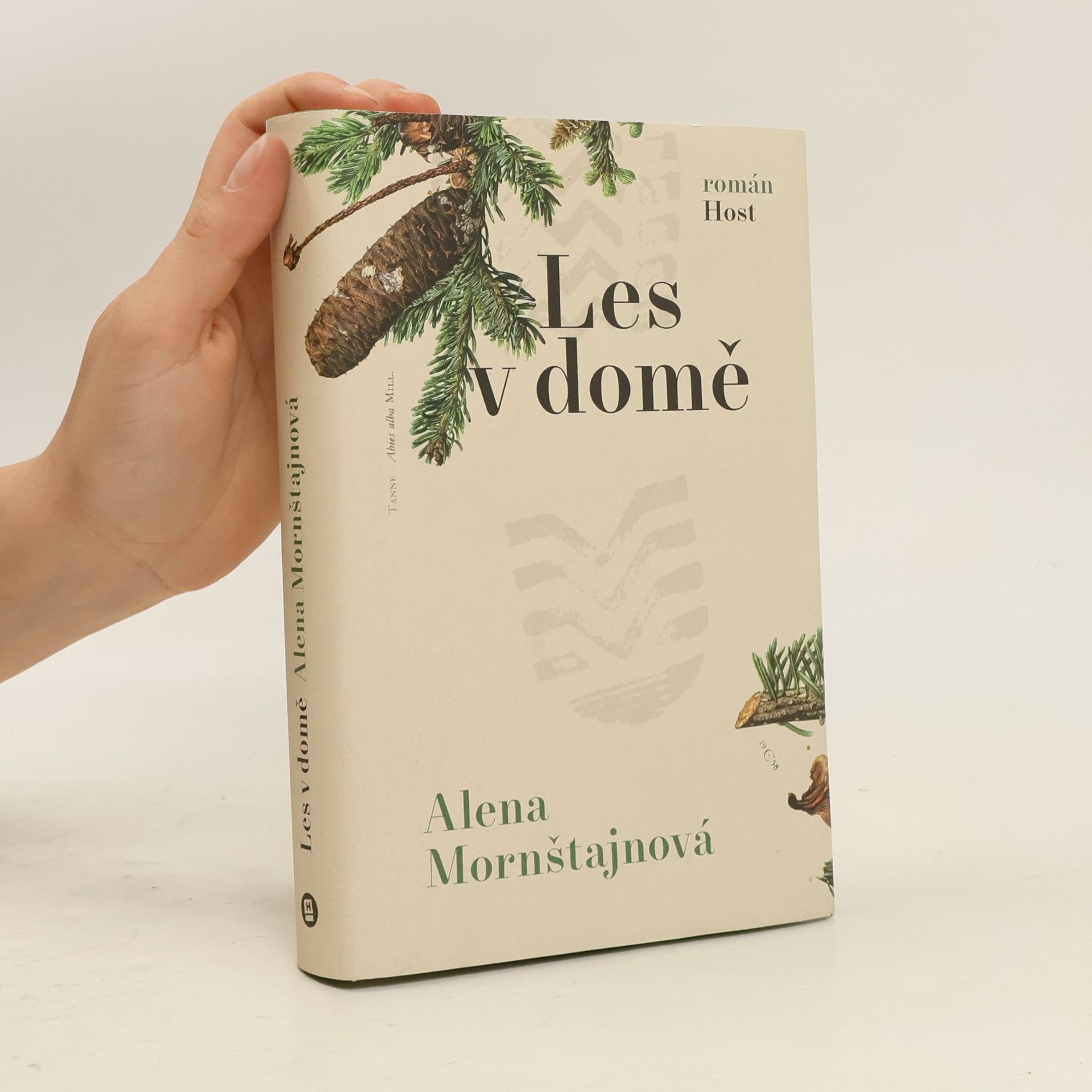 Alena Mornštajnová Les v domě