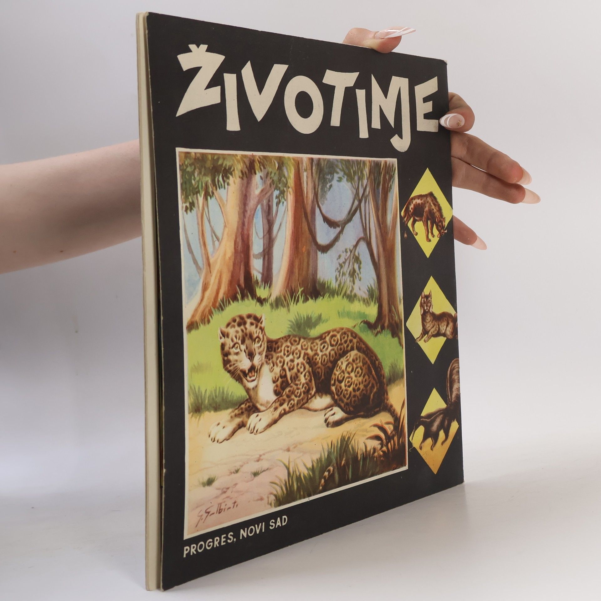 Autorenkollektiv Životinje