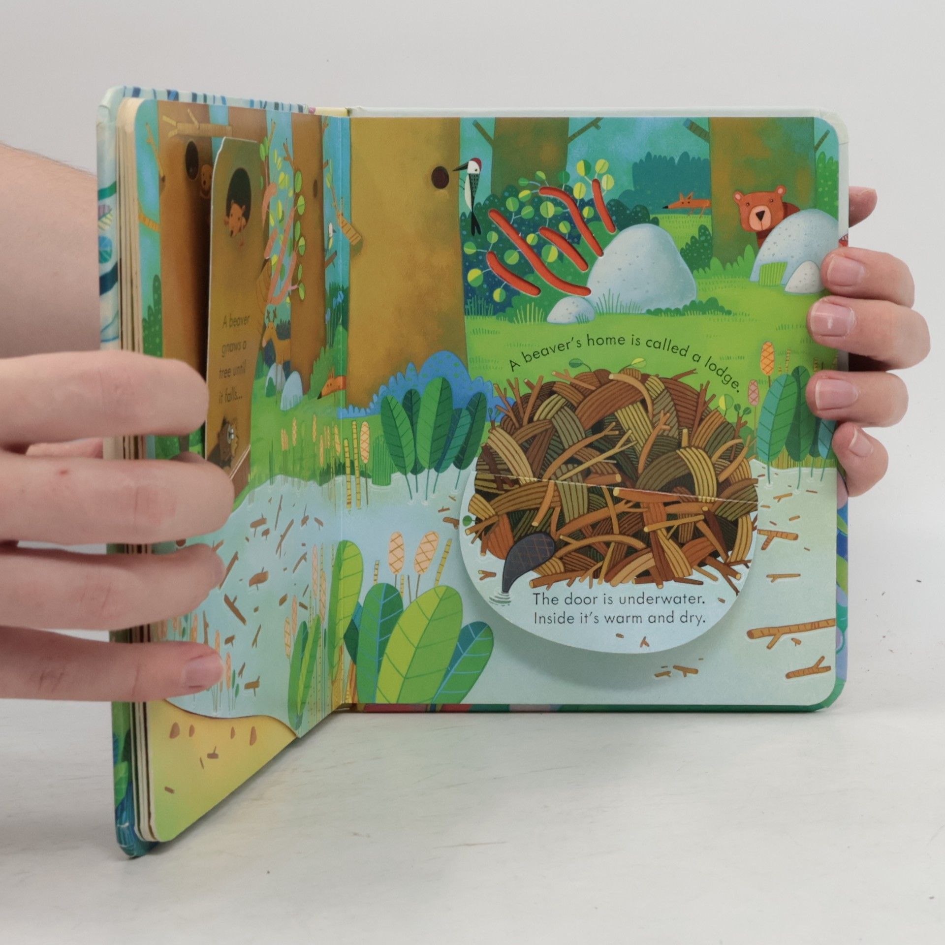 Anna Milbourne Peep Inside Animal Homes