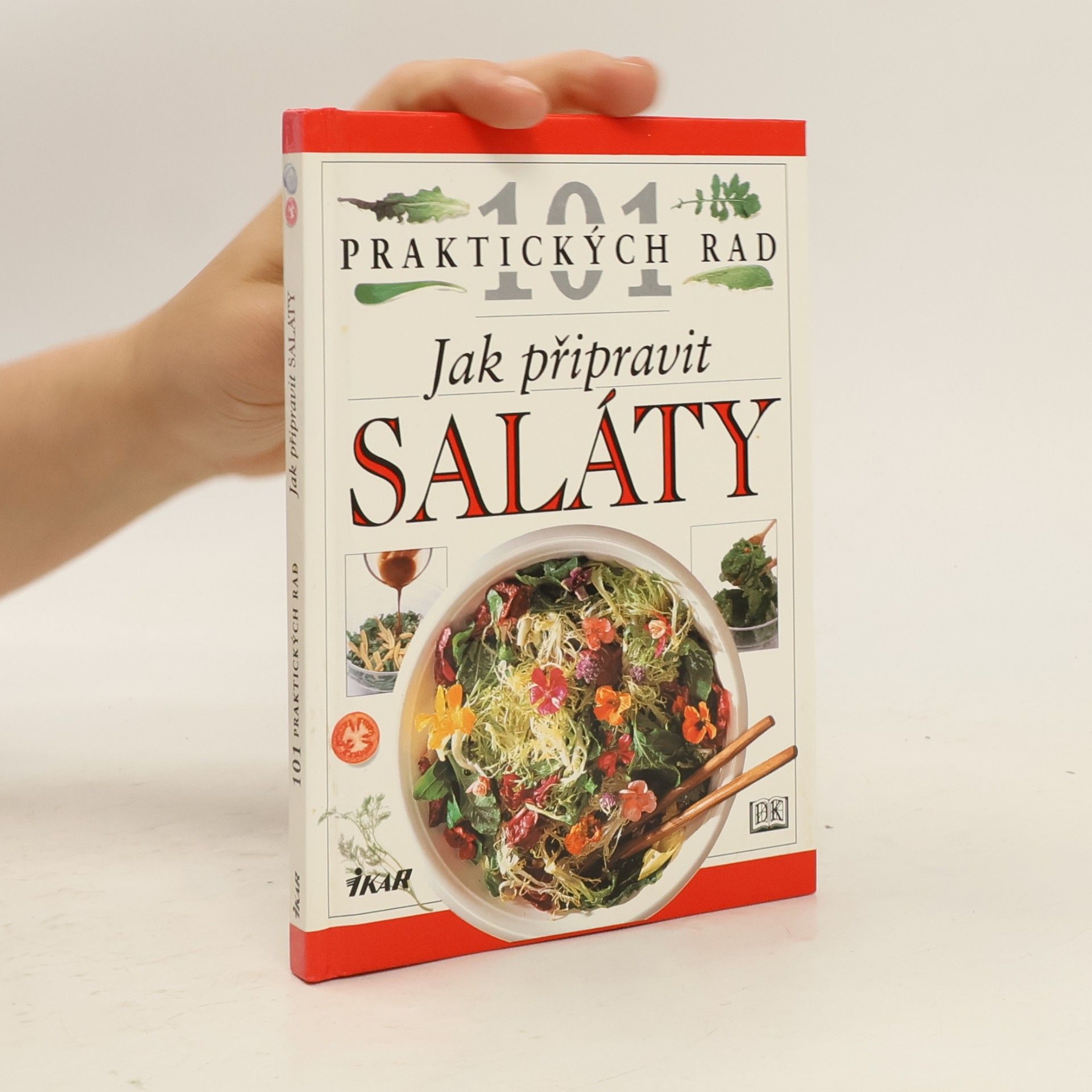 Anne Willan Jak připravit saláty