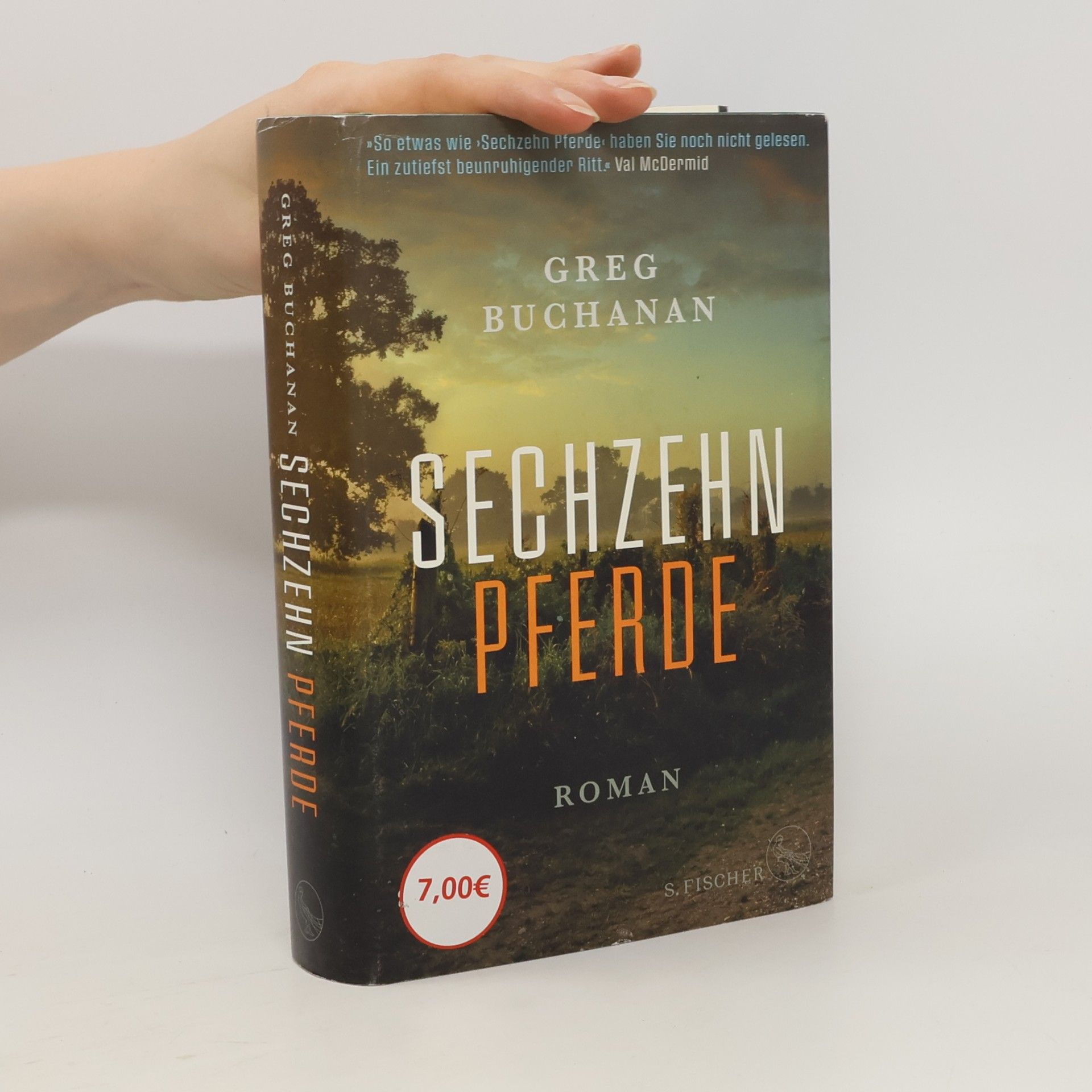 Greg Buchanan Sechzehn Pferde