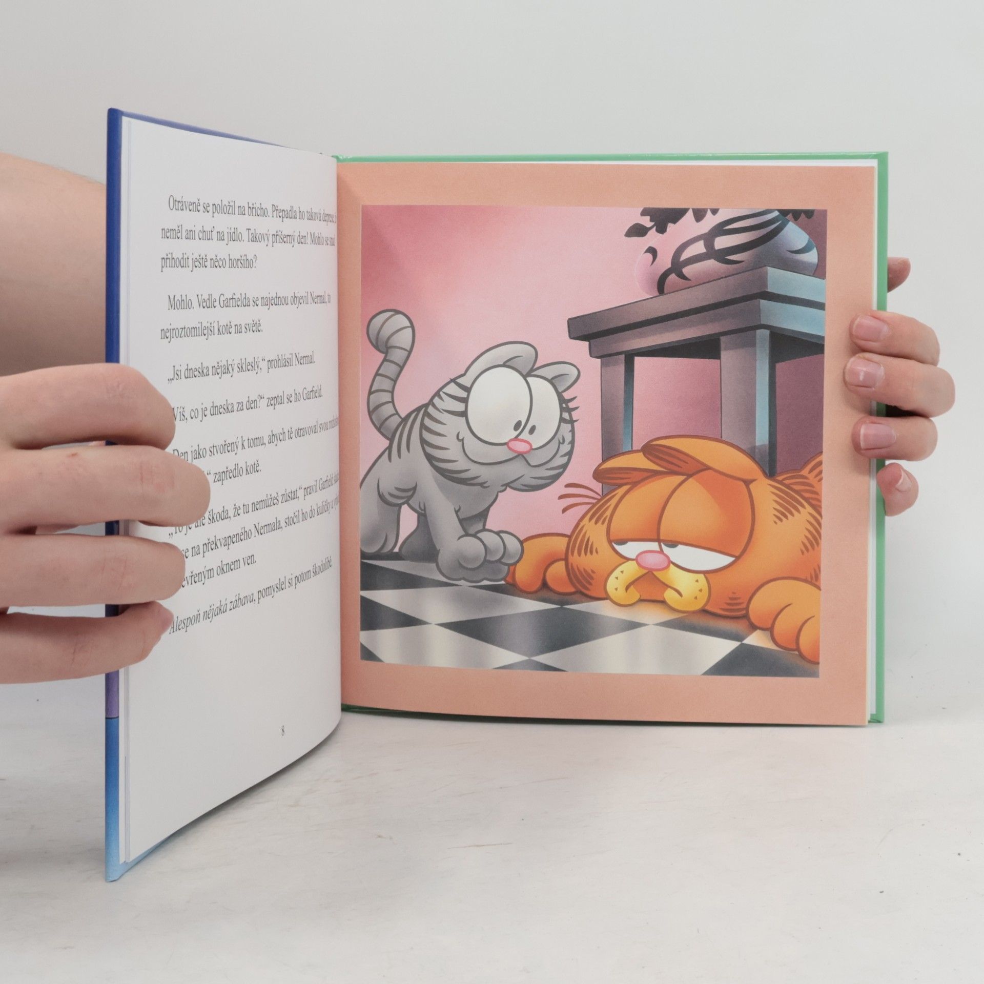 Jim Kraft Garfieldovo narozeninové překvapení