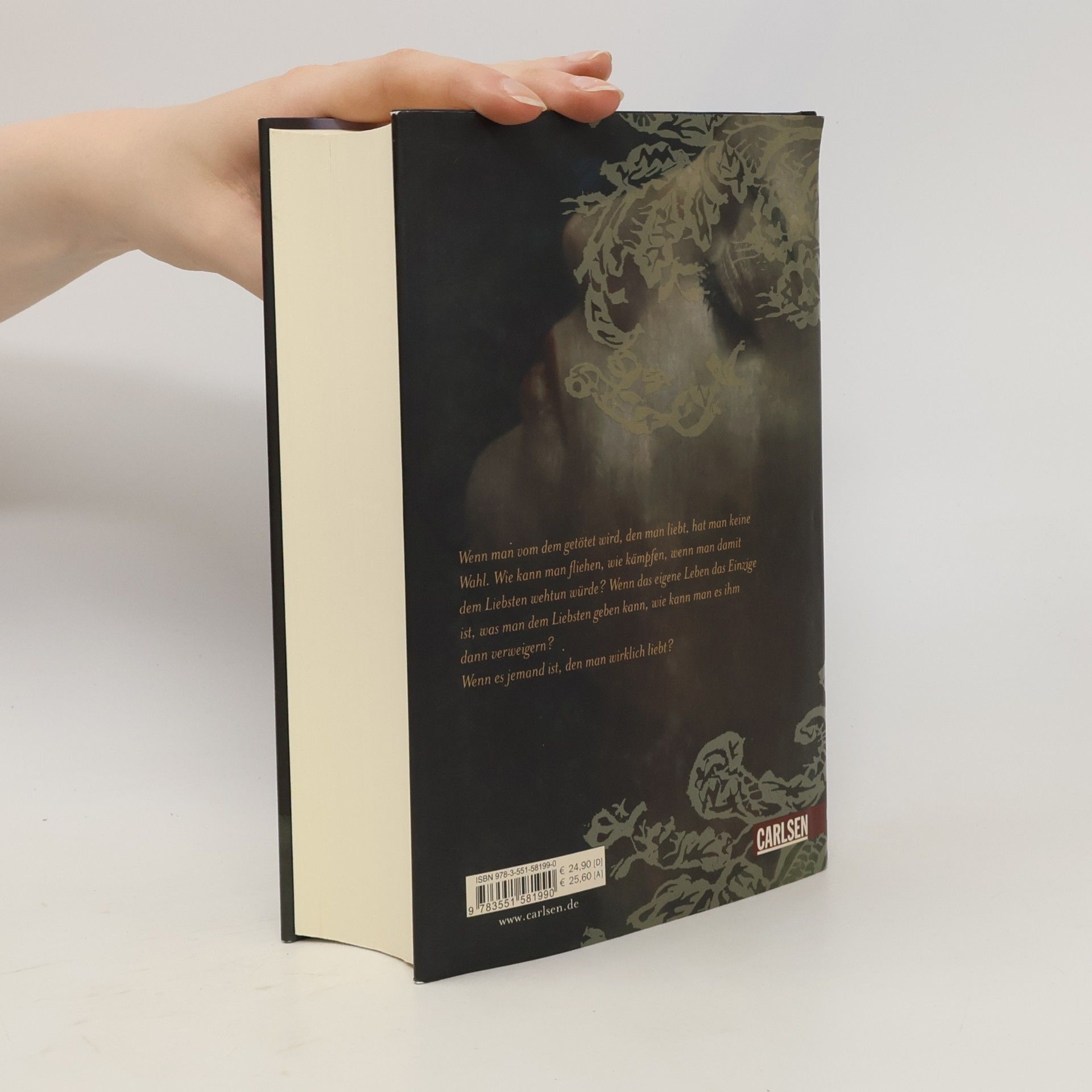 Stephenie Meyer Biss zum Ende der Nacht