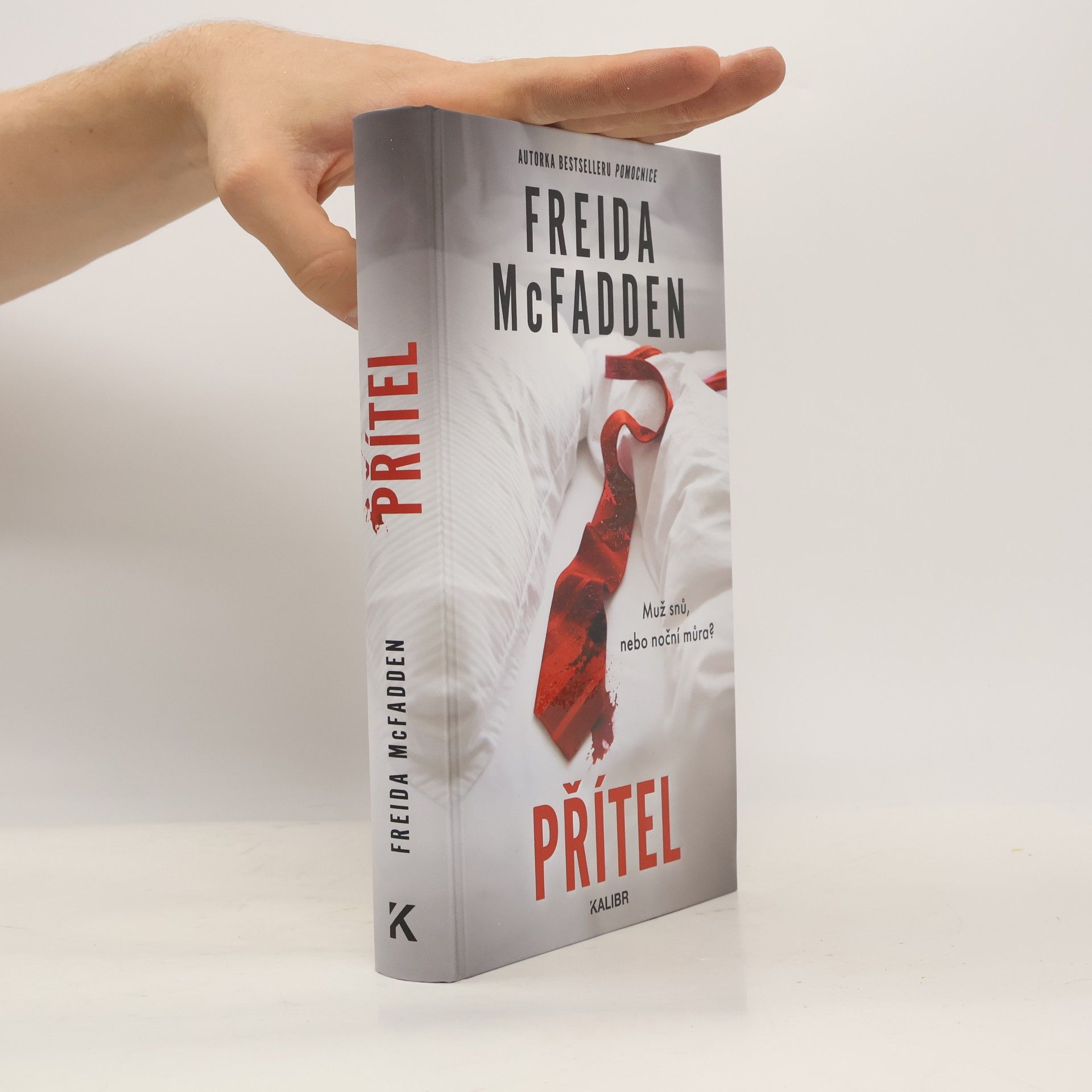 Freida McFadden Přítel