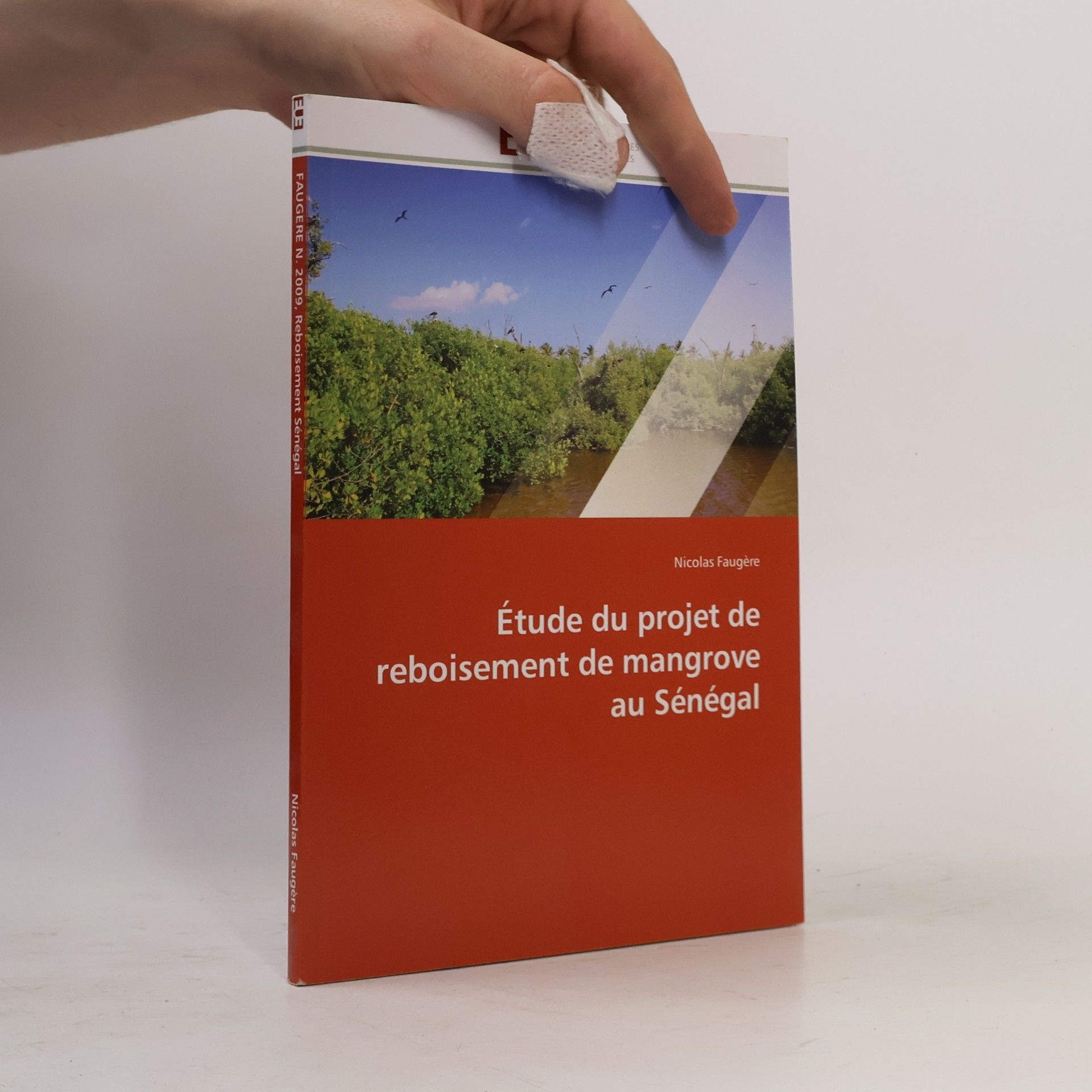 Nicolas Faugère Étude du projet de reboisement de mangrove au Sénégal