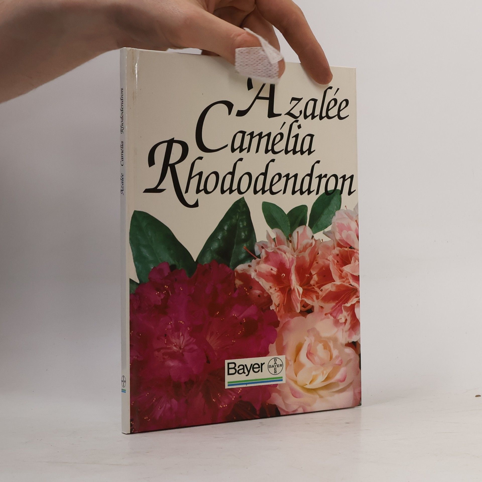 Various authors Azalée, Camelia, Rhododendron