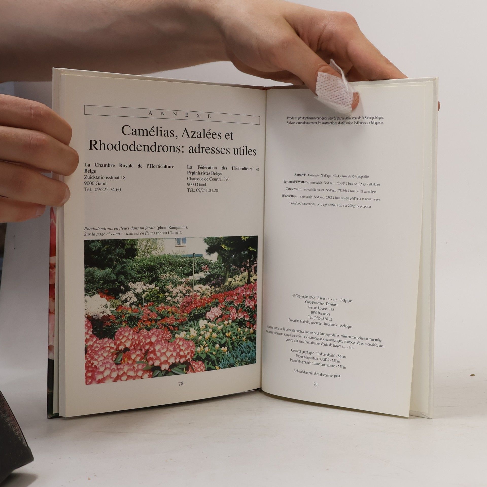 Various authors Azalée, Camelia, Rhododendron