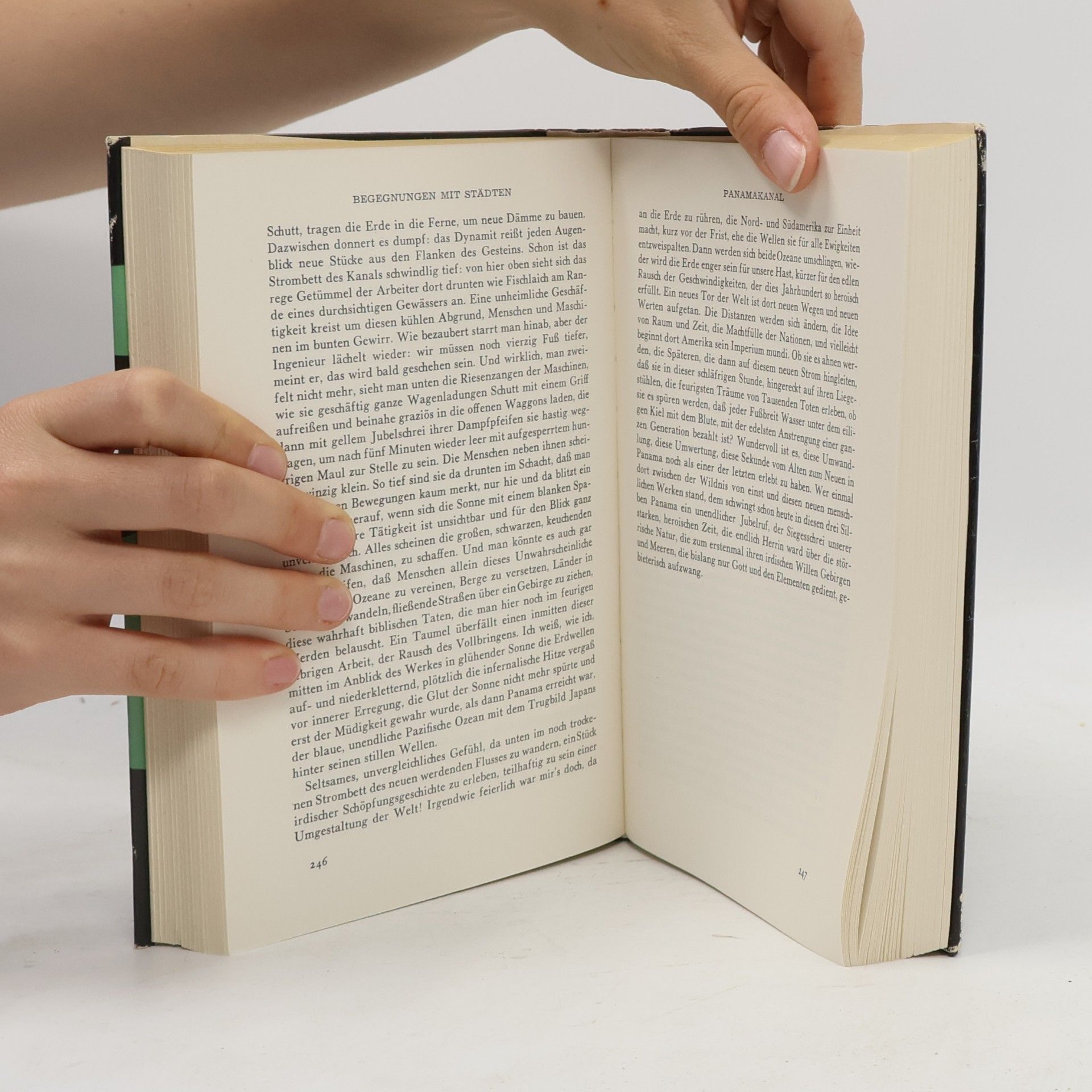 Stefan Zweig Begegnungen mit Menschen, Büchern, Städten