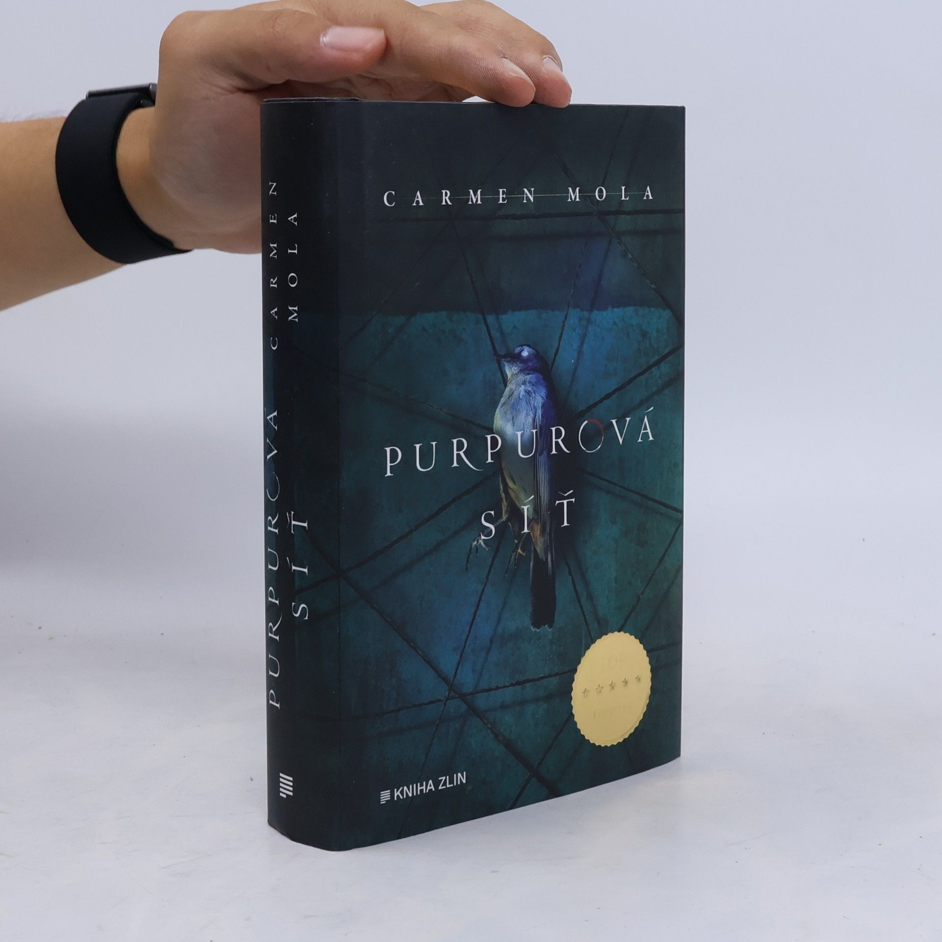 Carmen Mola Purpurová síť