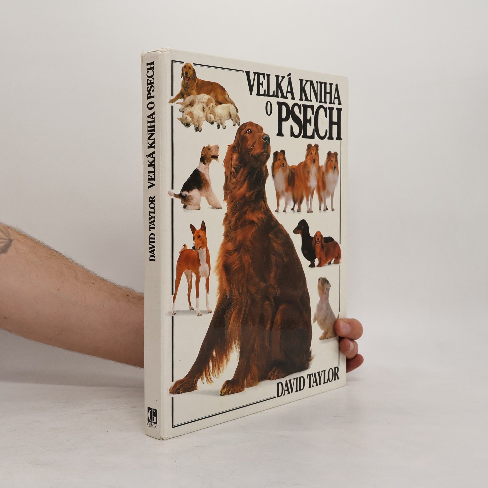 David Conrad Taylor Velká kniha o psech