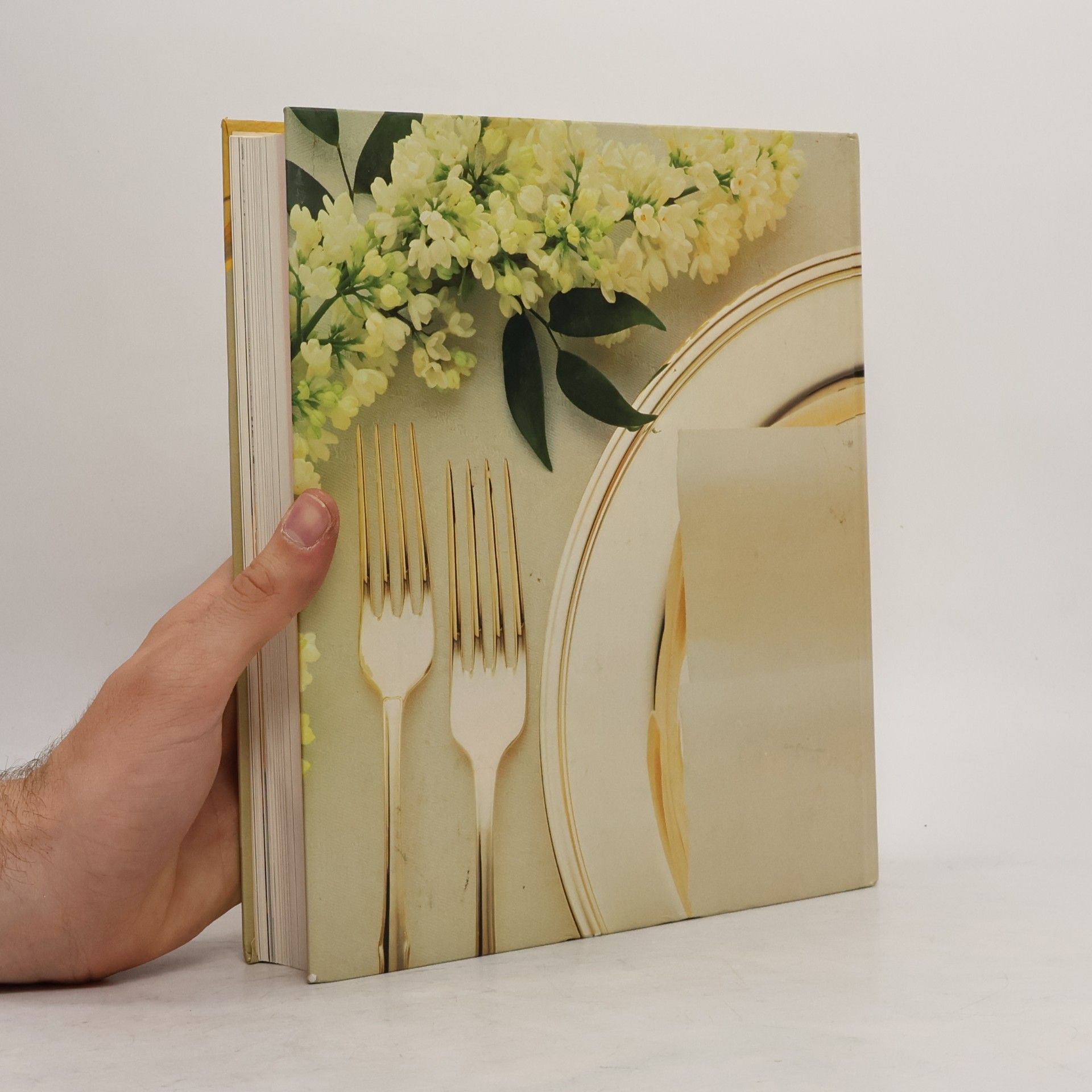 Sylvia Meyer Service-Lehrbuch