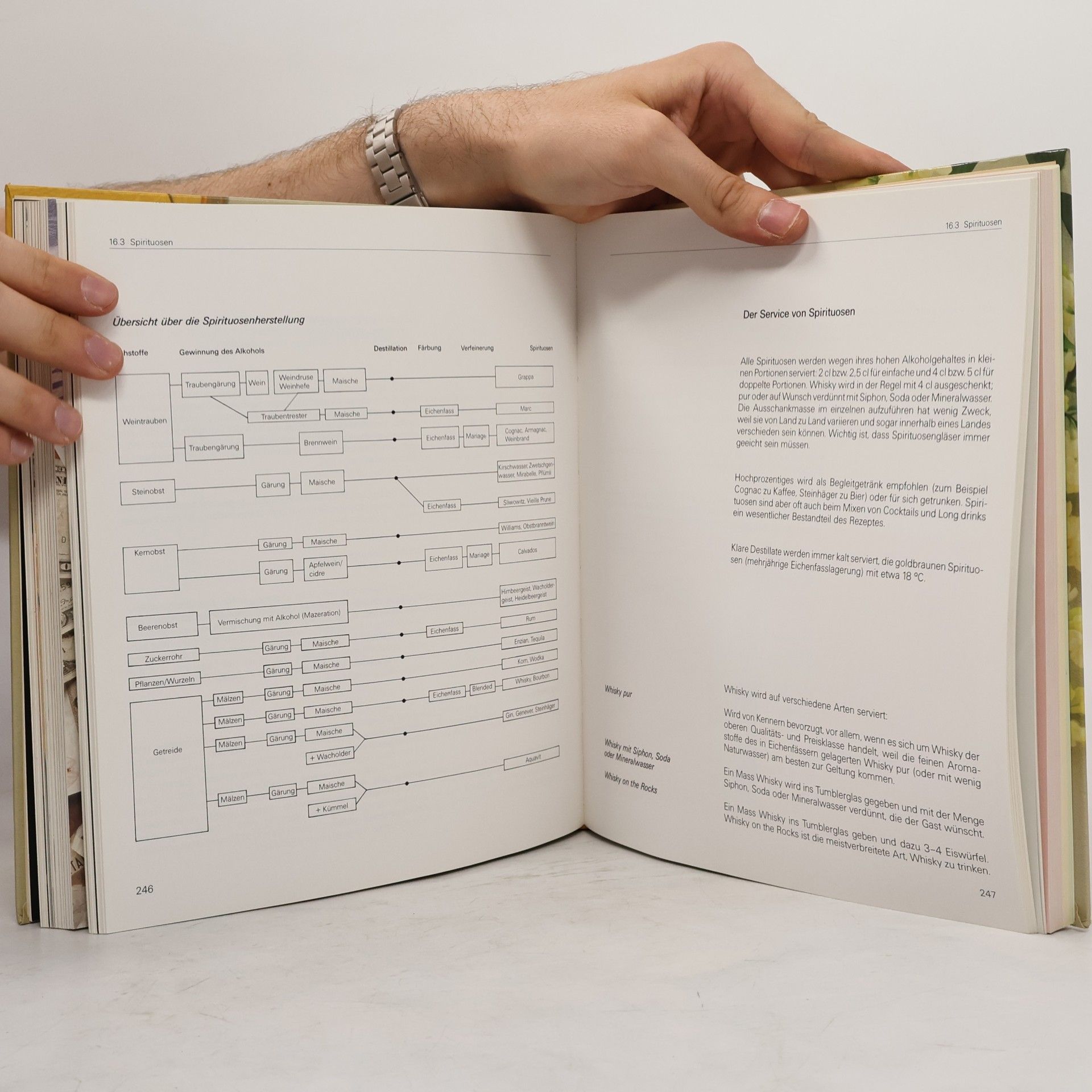 Sylvia Meyer Service-Lehrbuch