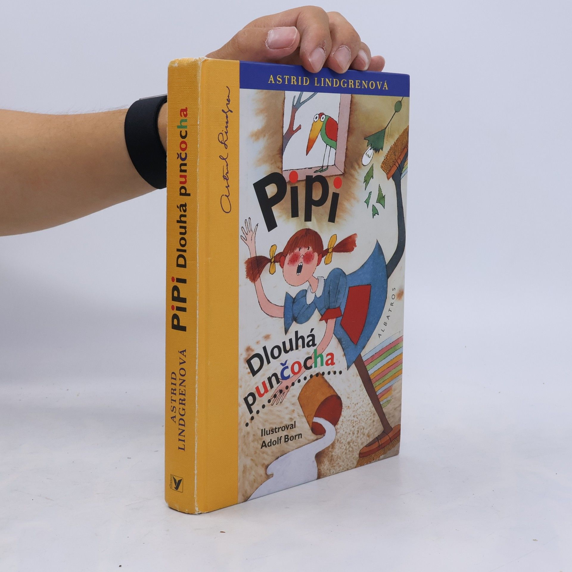 Astrid Lindgren Pipi Dlouhá punčocha