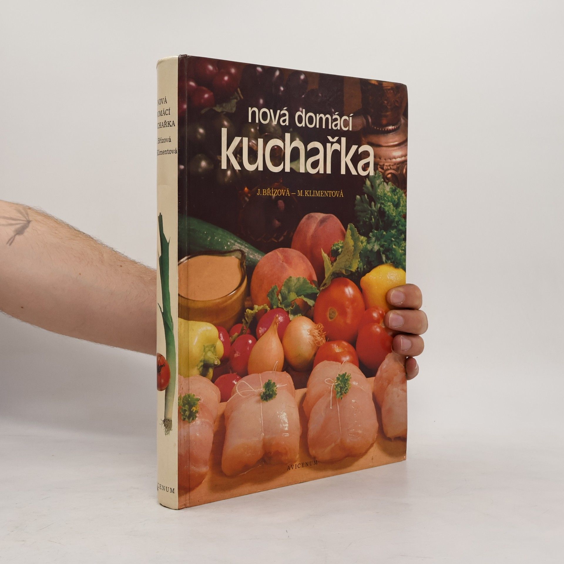J. Břízová Nová domácí kuchařka