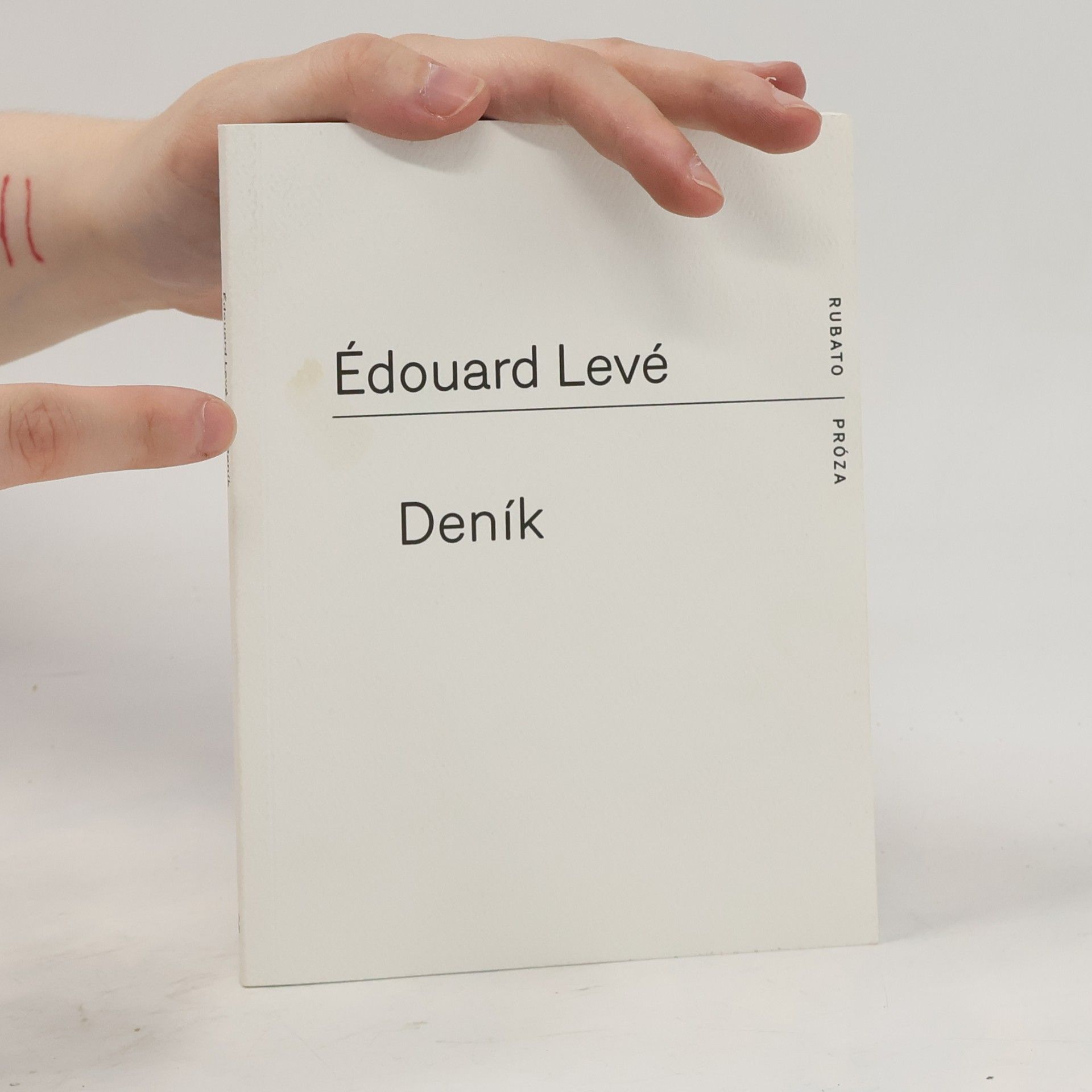 Édouard Levé Deník