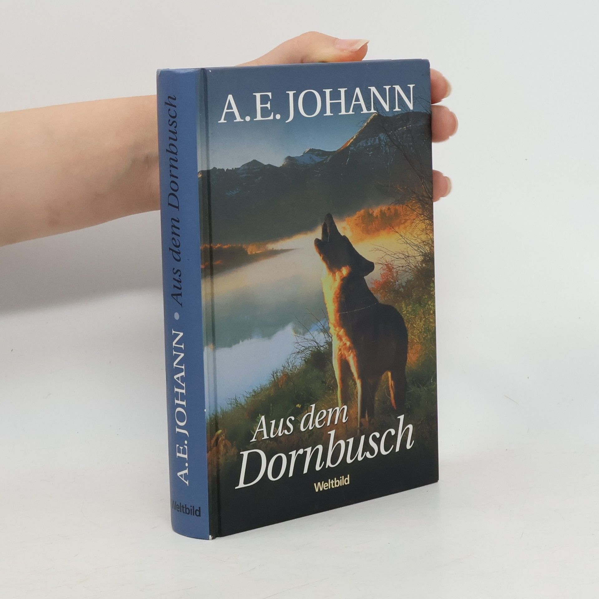Alfred E. Johann Aus dem Dornbusch
