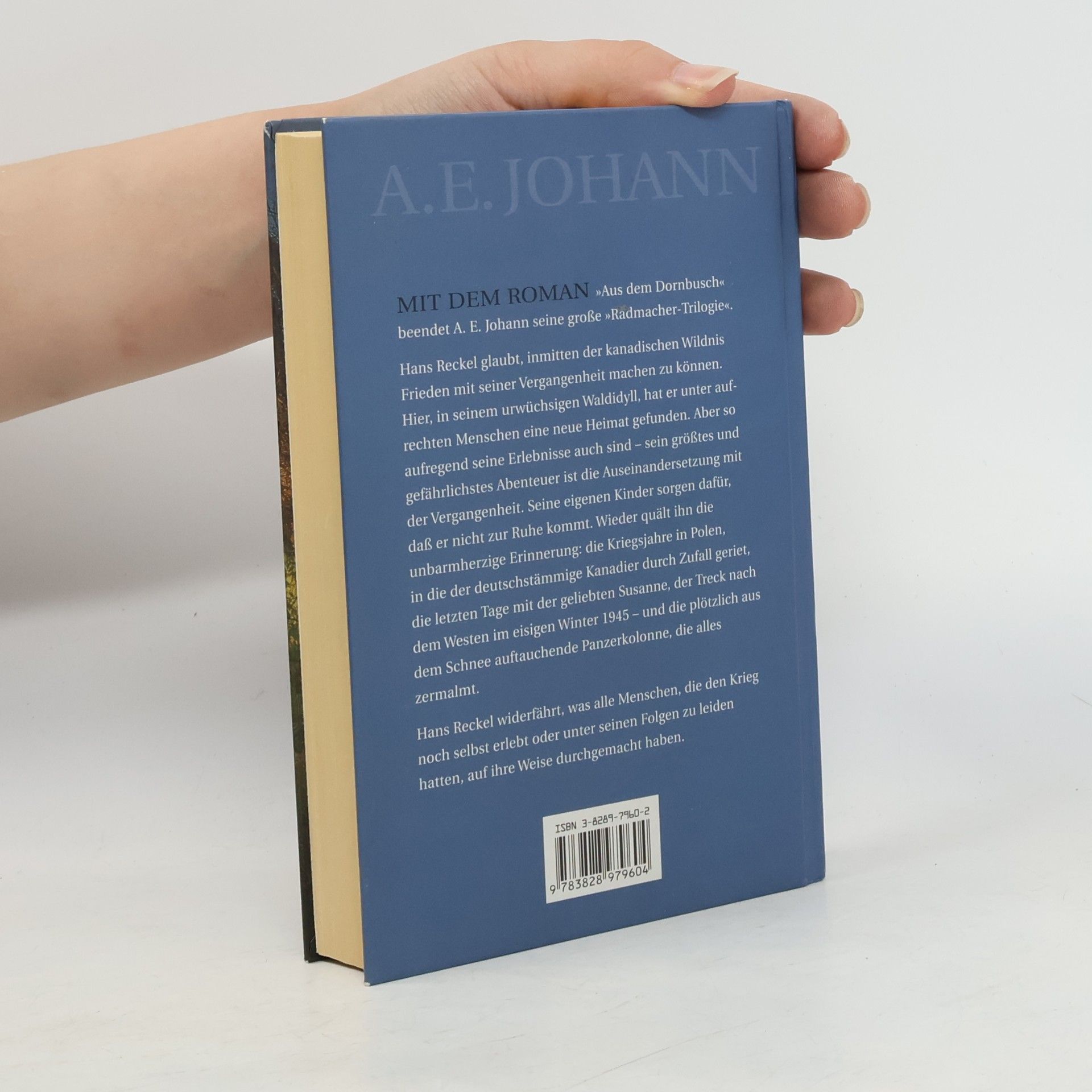 Alfred E. Johann Aus dem Dornbusch