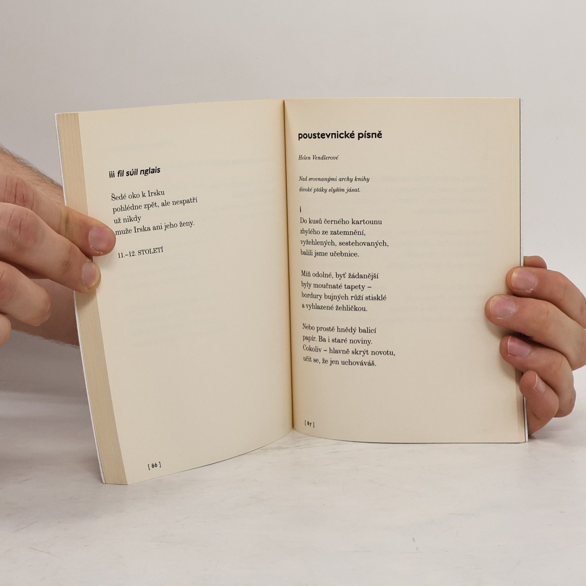 Seamus Heaney Lidský řetěz