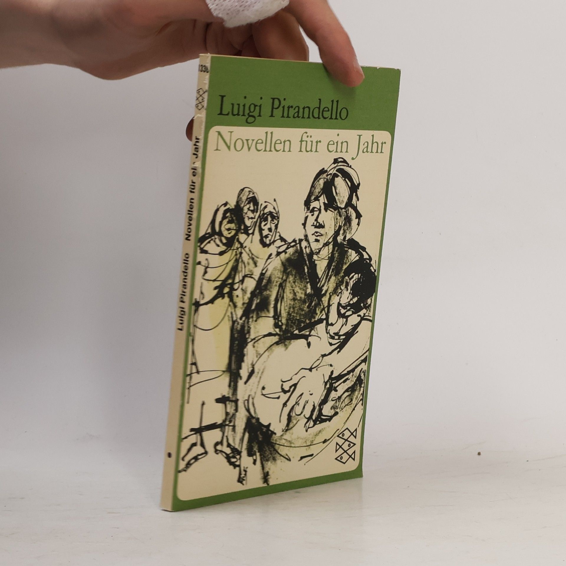 Luigi Pirandello Novellen für ein Jahr