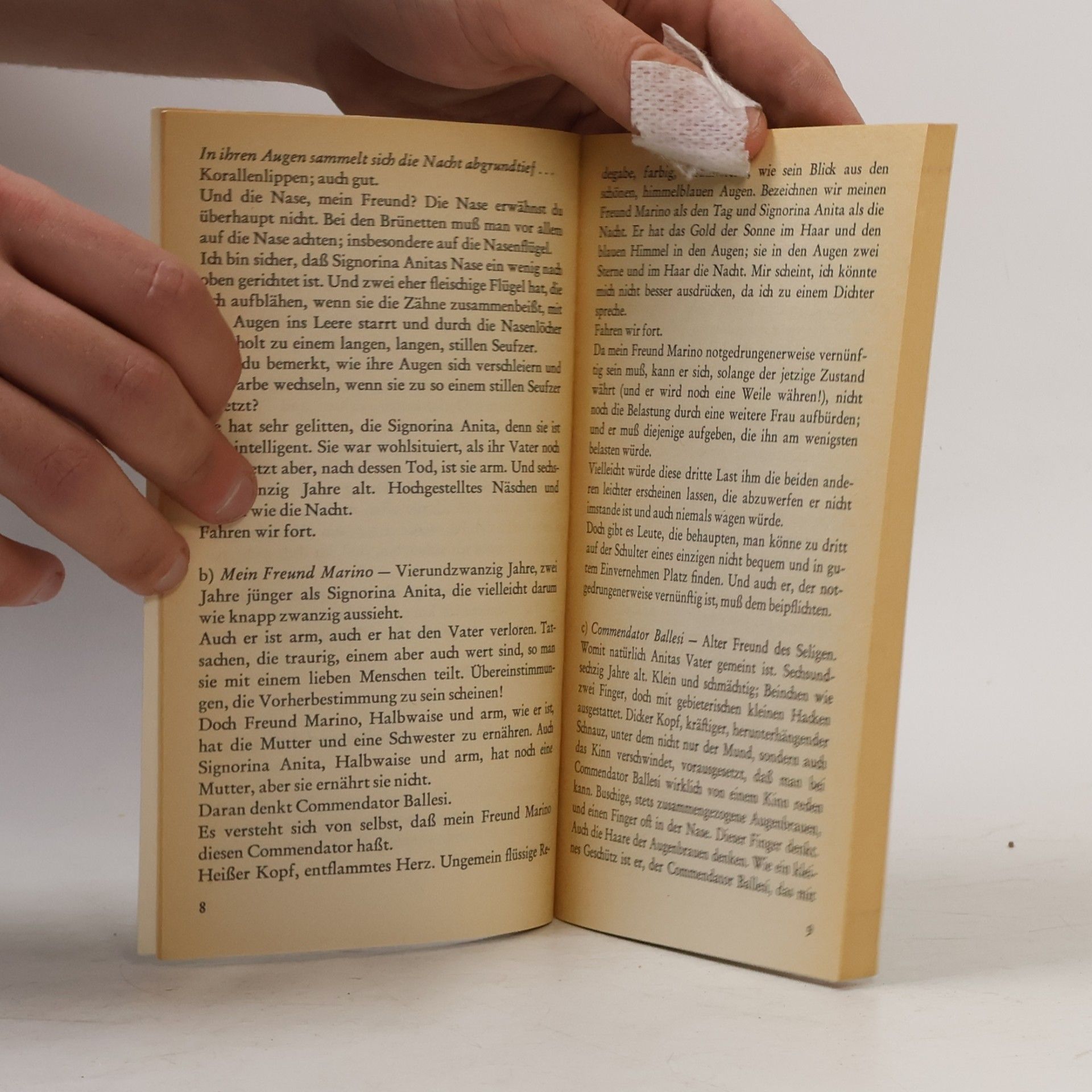 Luigi Pirandello Novellen für ein Jahr