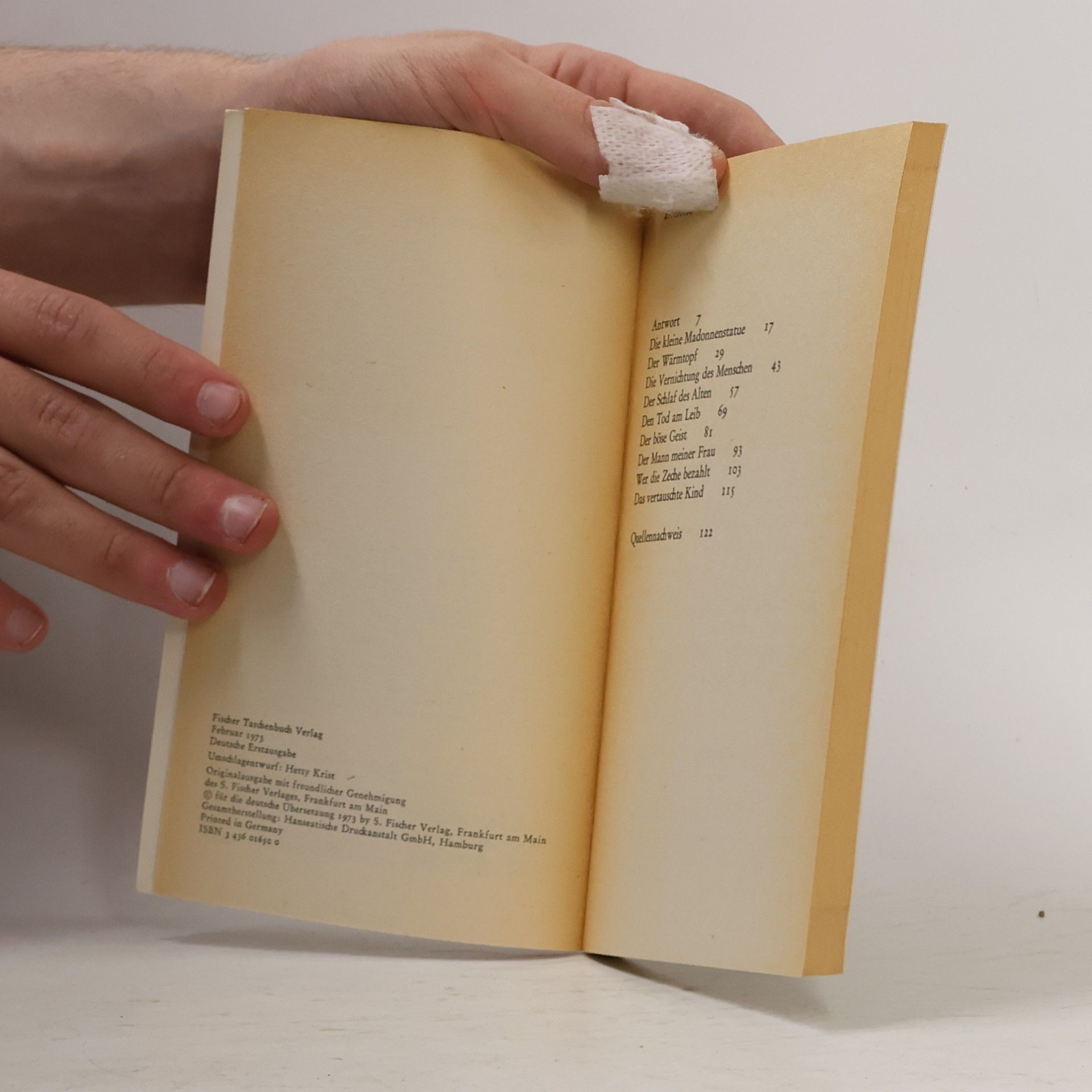 Luigi Pirandello Novellen für ein Jahr