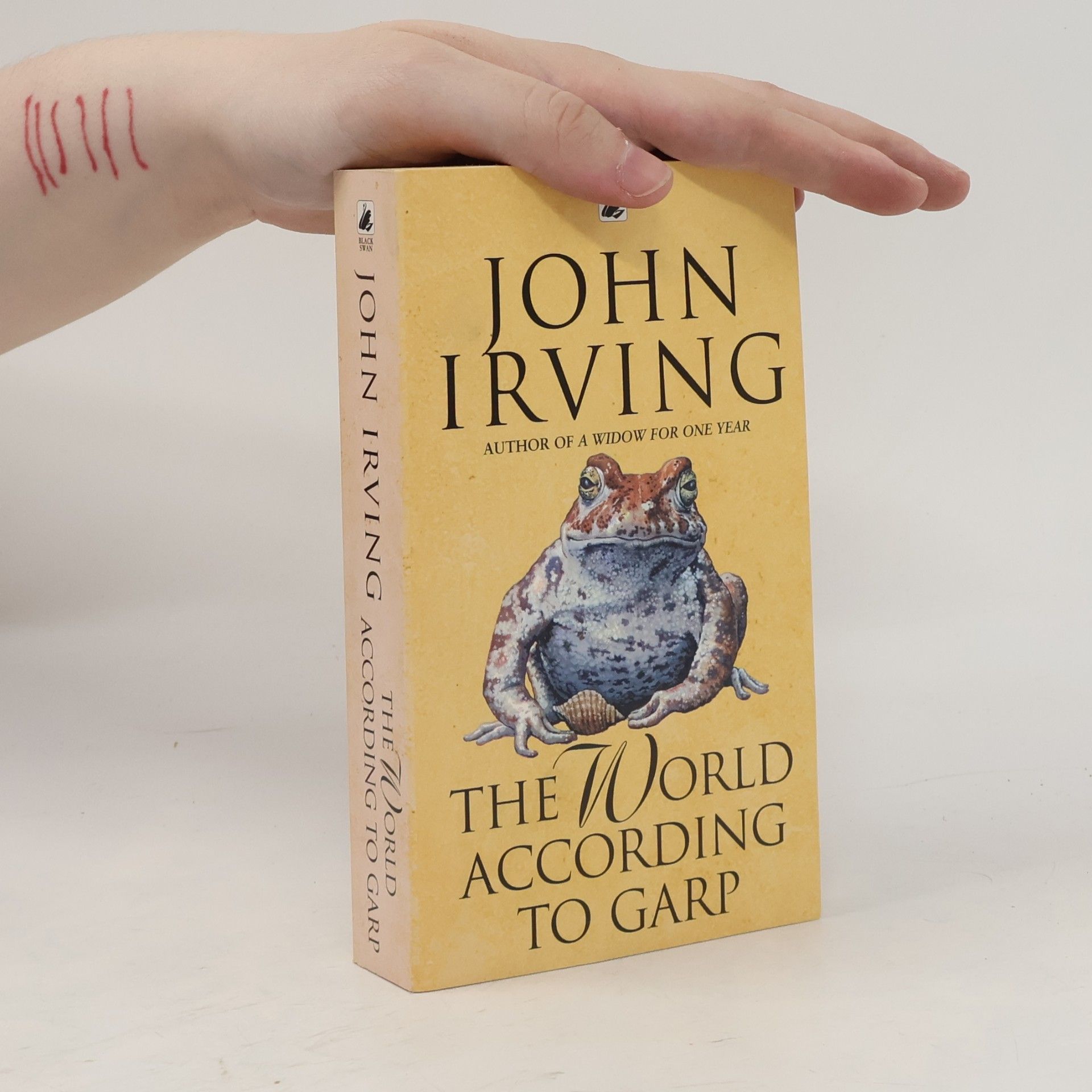 John Irving The World According to Garp
