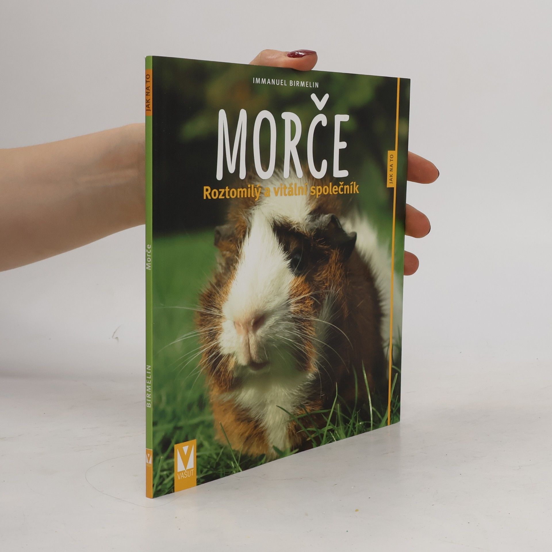 Immanuel Birmelin Morče. Roztomilý a vitální společník