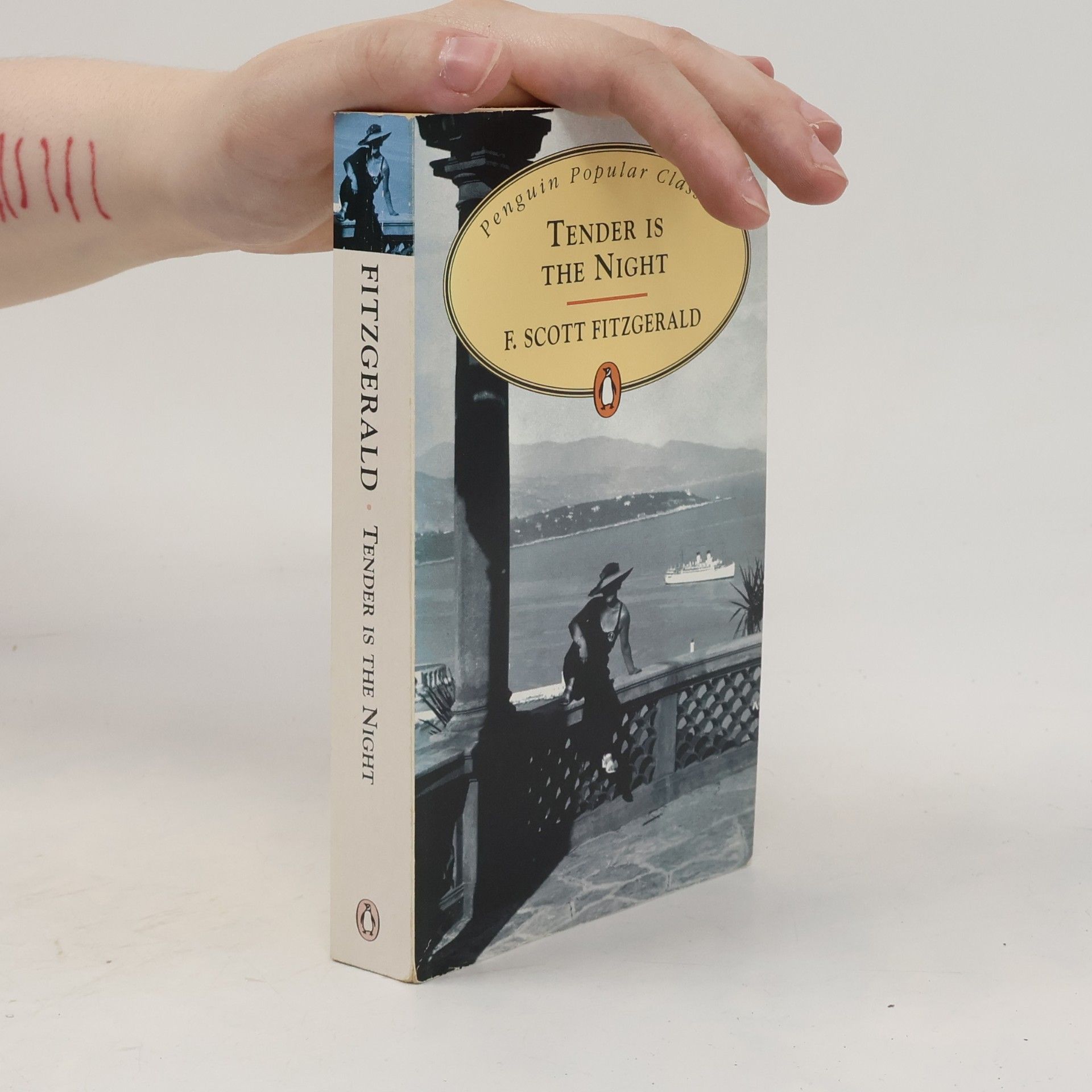 F. Scott Fitzgerald Tender is the night