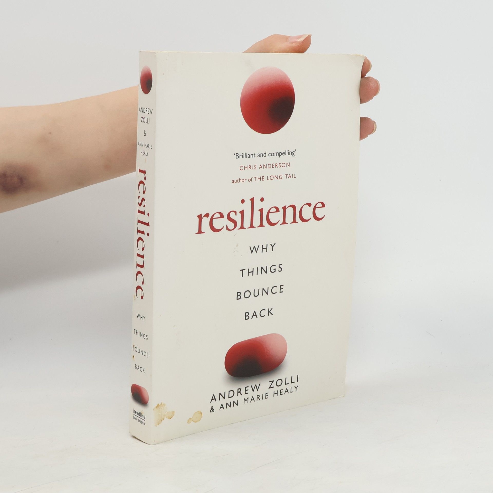 Ann Marie Healy Resilience