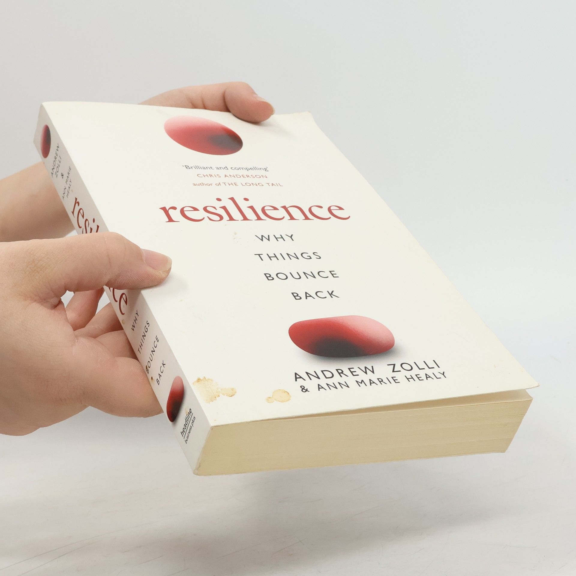 Andrew Zolli Resilience