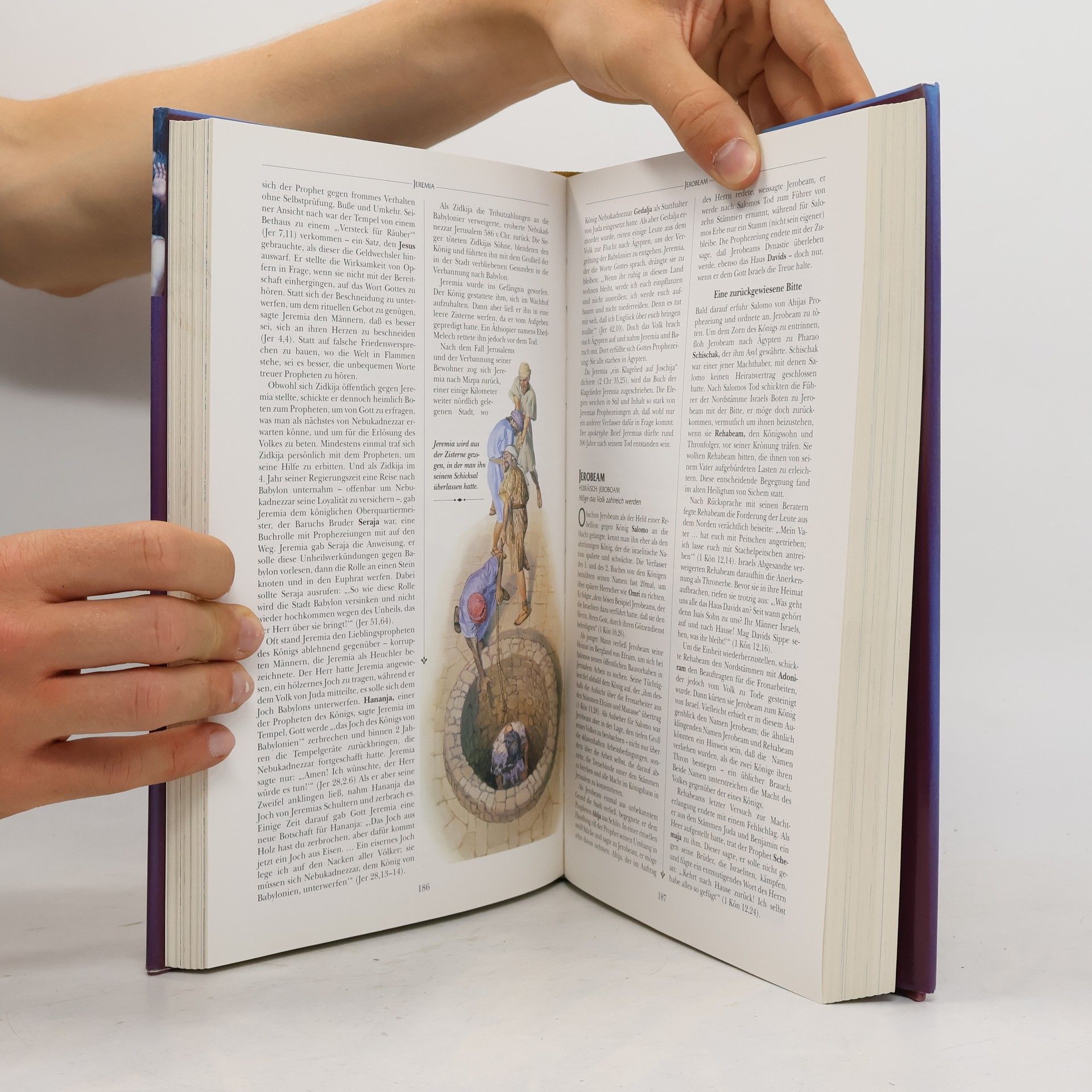 Charles Flowers Die Menschen der Bibel. Ein illustriertes Lexikon der Heiligen Schrift