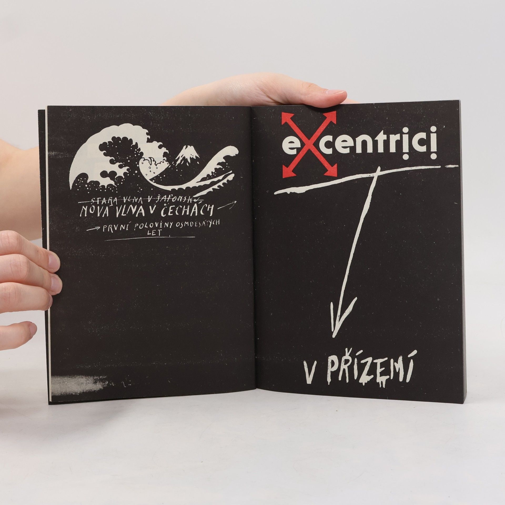 Collectif d'auteurs Excentrici v přízemí