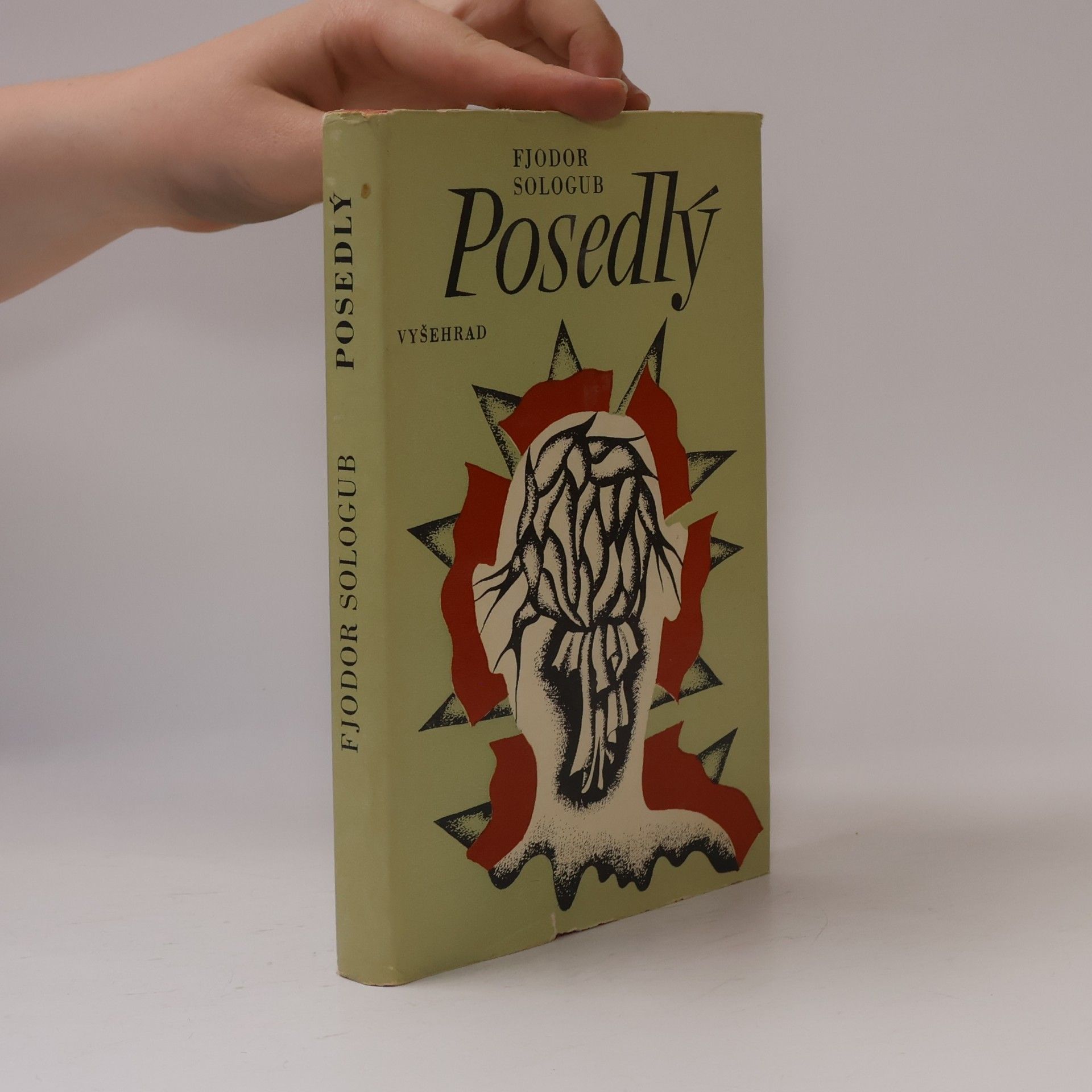 Fyodor Sologub Posedlý