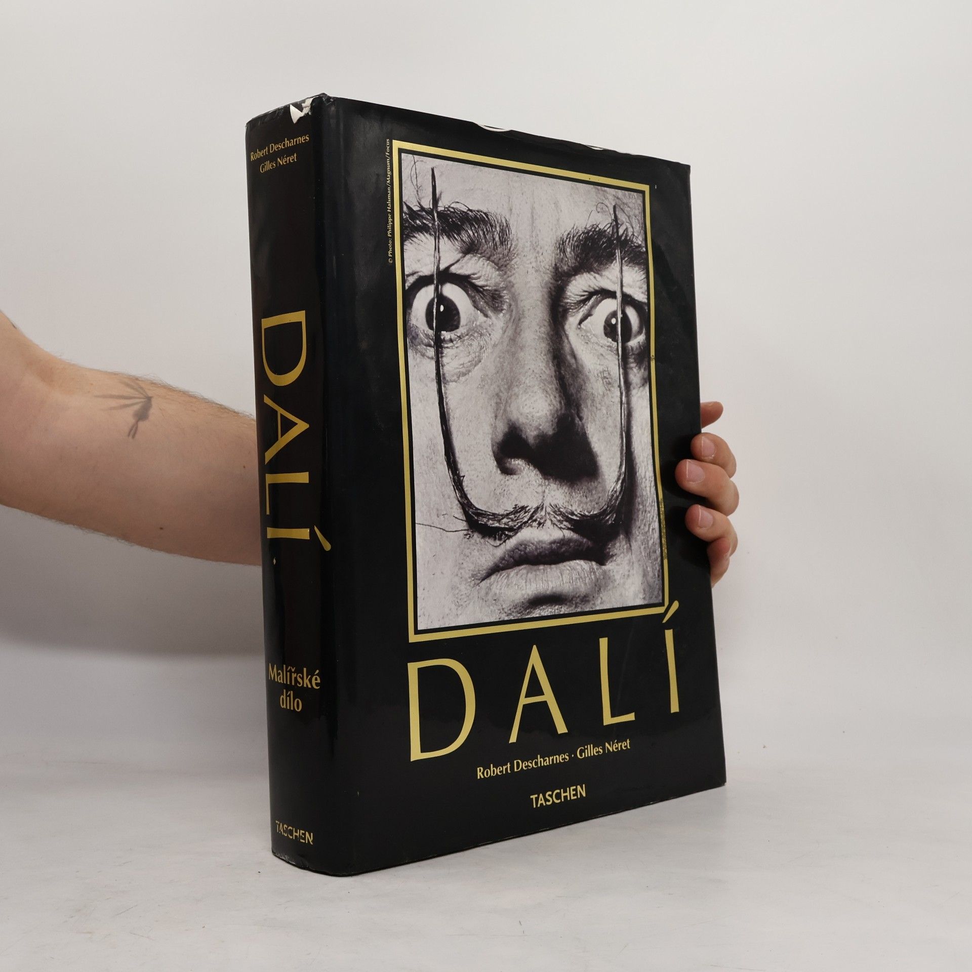 Robert Descharnes Dalí. Malířské dílo