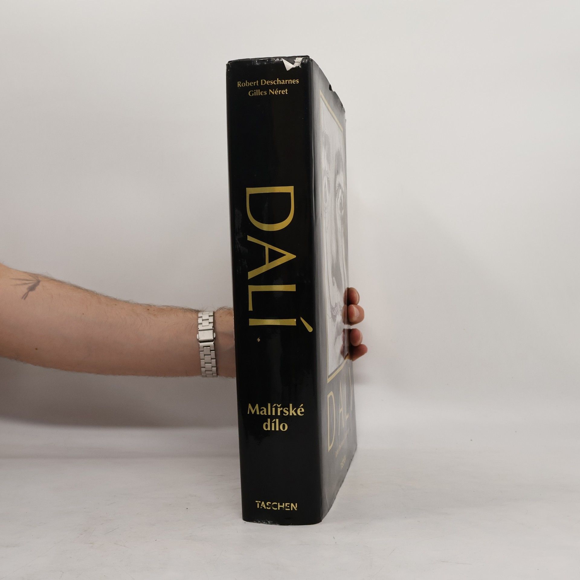Robert Descharnes Dalí. Malířské dílo