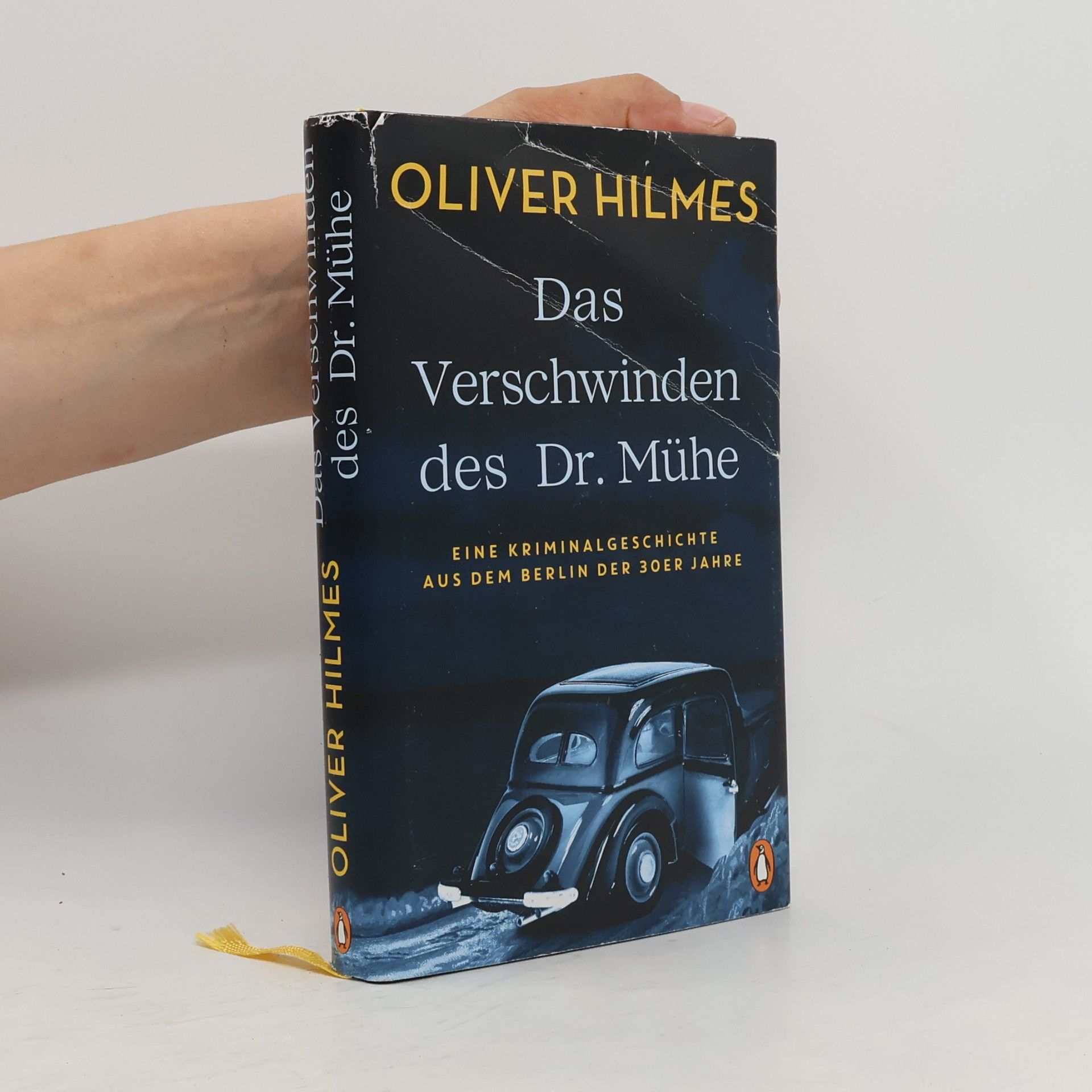 Oliver Hilmes Das Verschwinden des Dr. Mühe