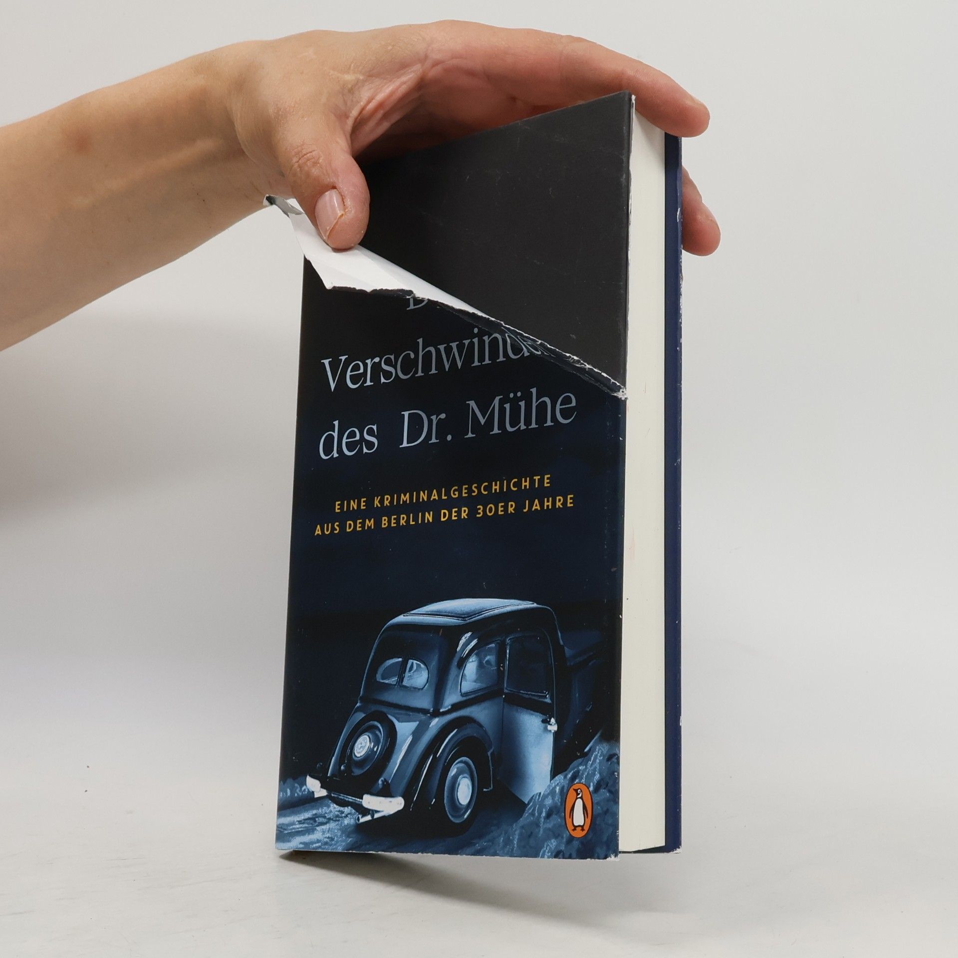Oliver Hilmes Das Verschwinden des Dr. Mühe