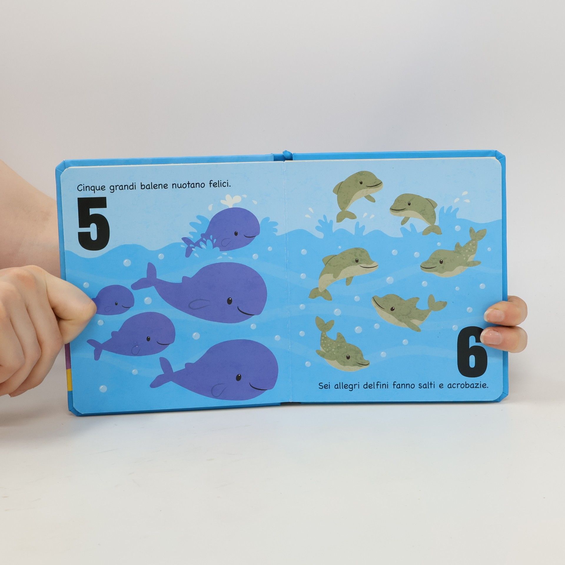 I miei primi numeri. Imparapiccoli