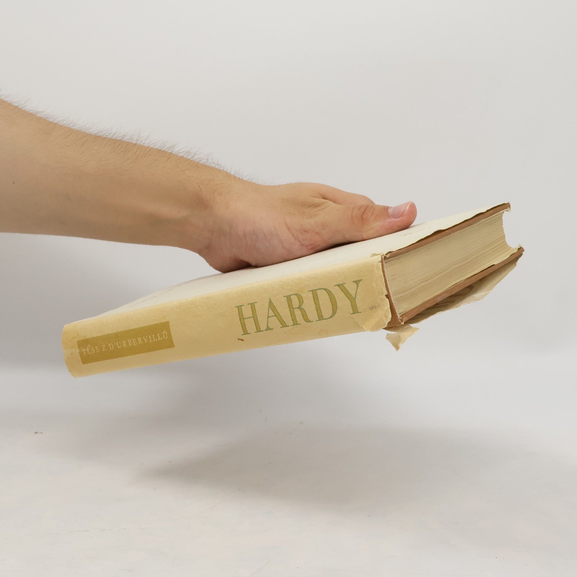 Thomas Hardy Tess z d'Urbervillů