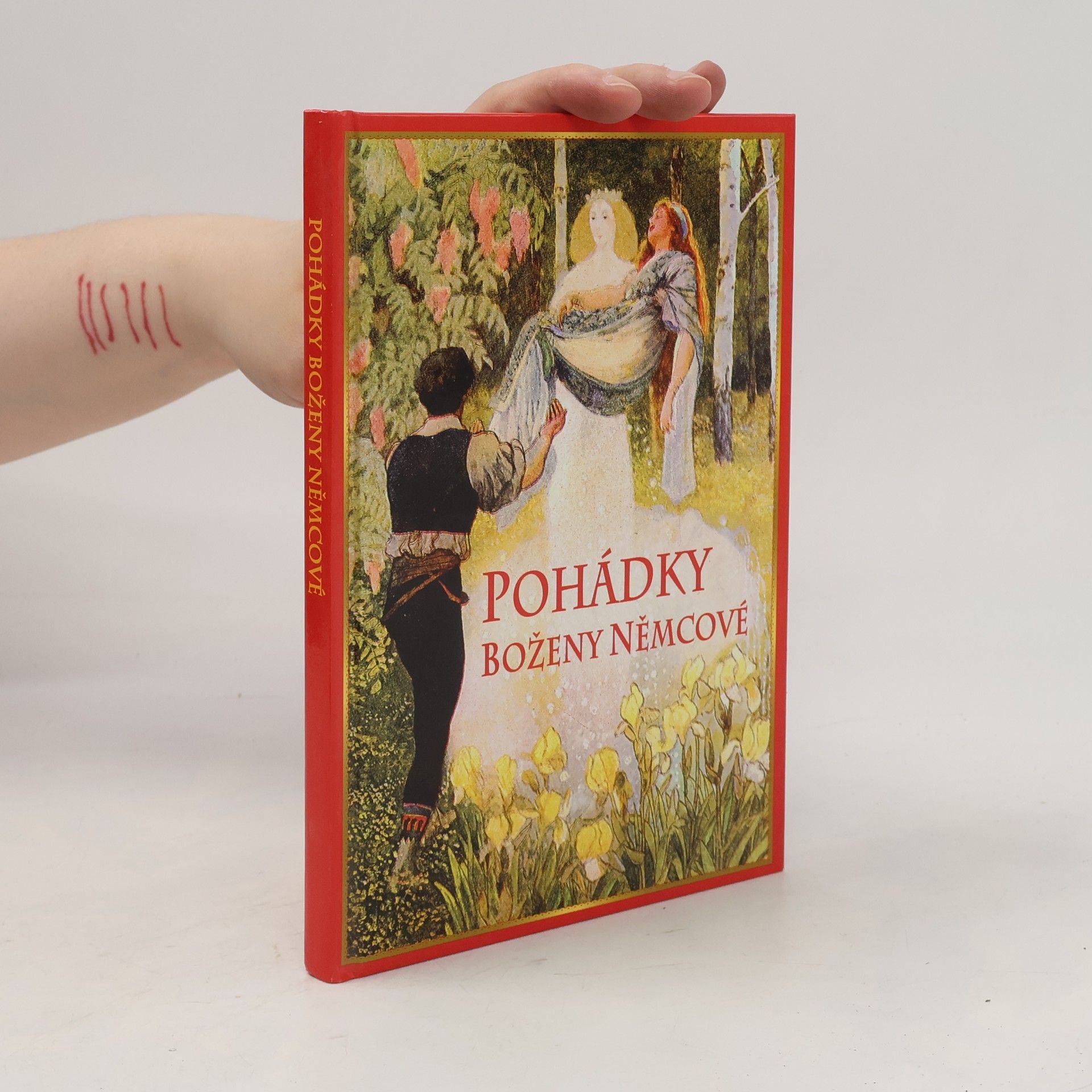 Božena Němcová Pohádky
