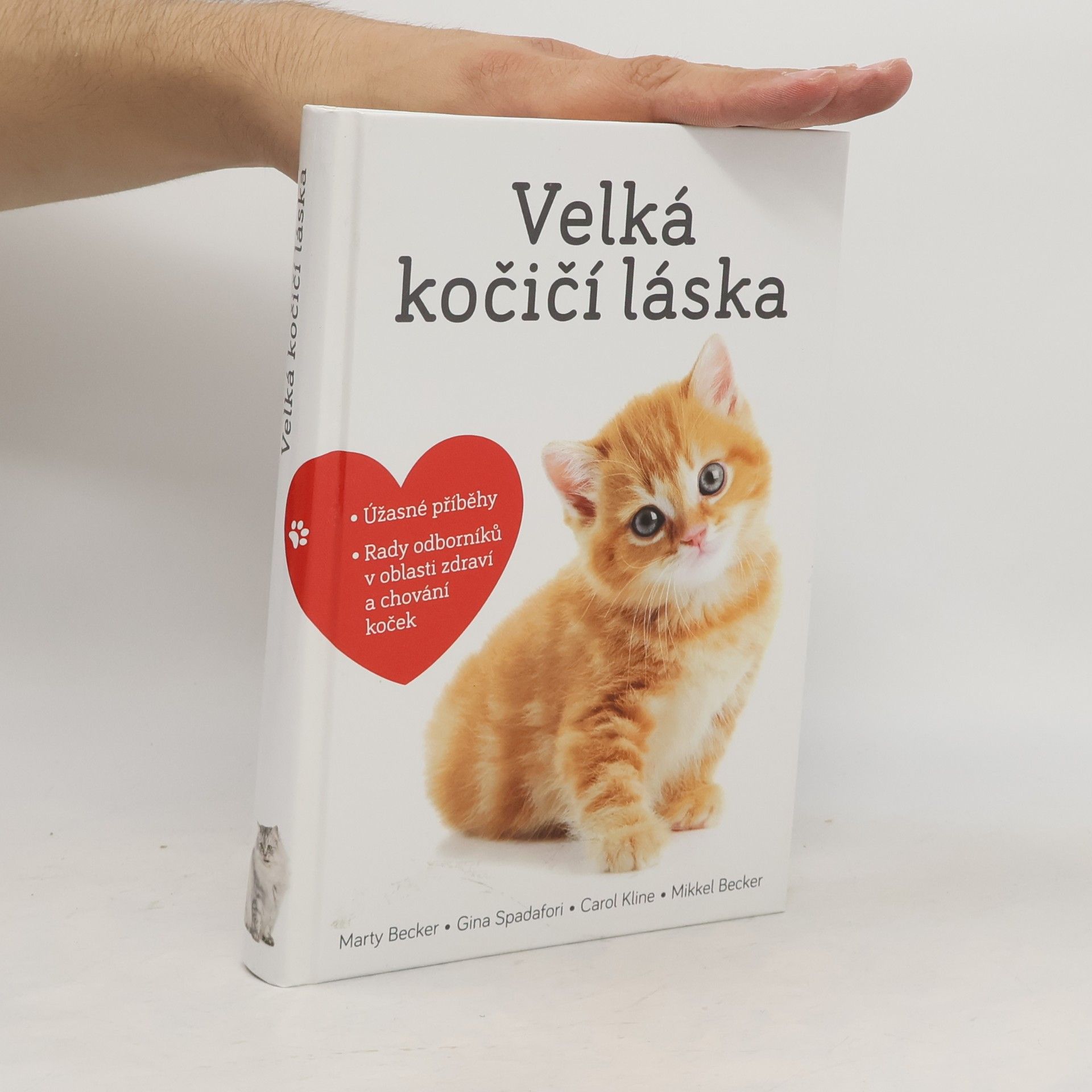 Marty Becker Velká kočičí láska