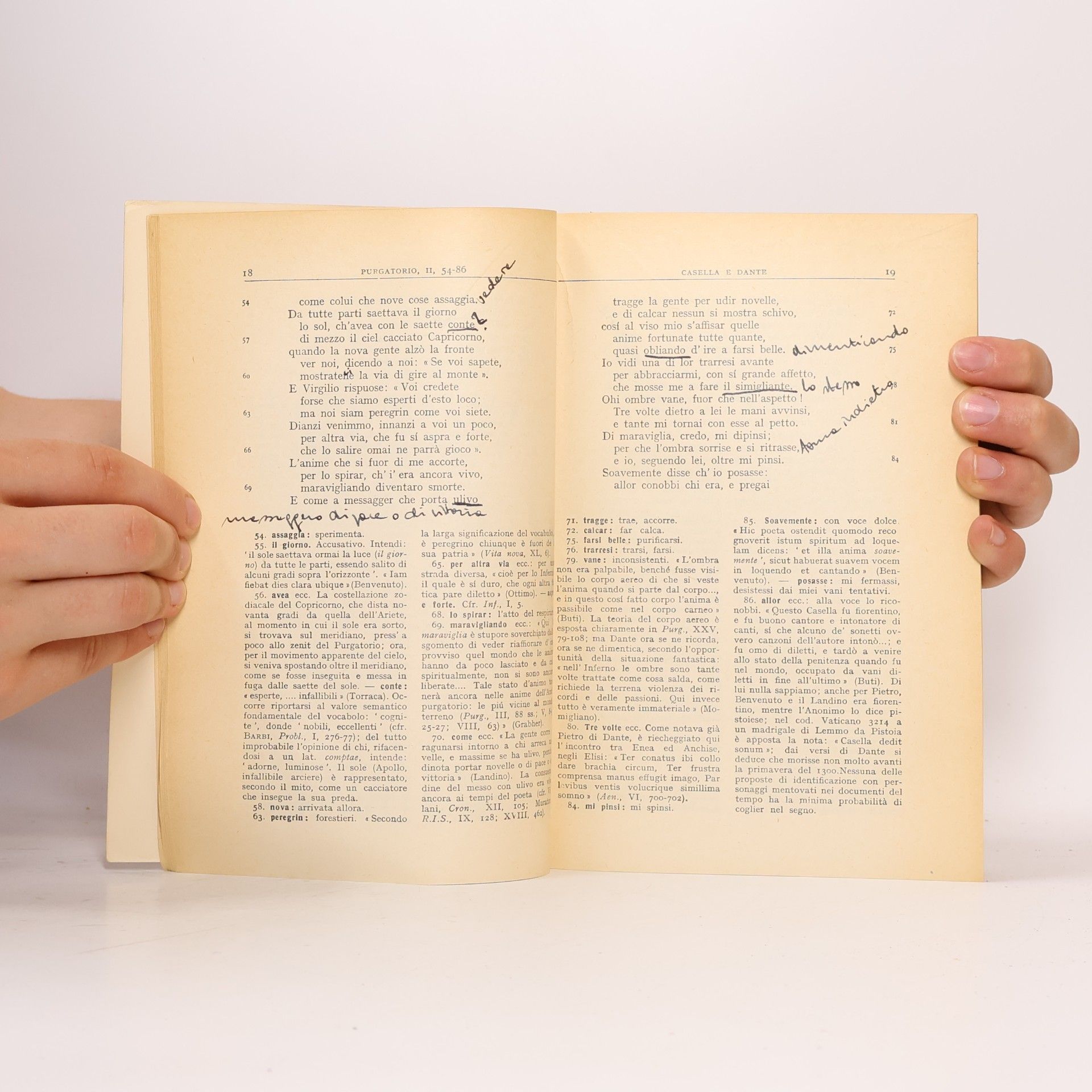 Dante Alighieri La Divina Commedia II