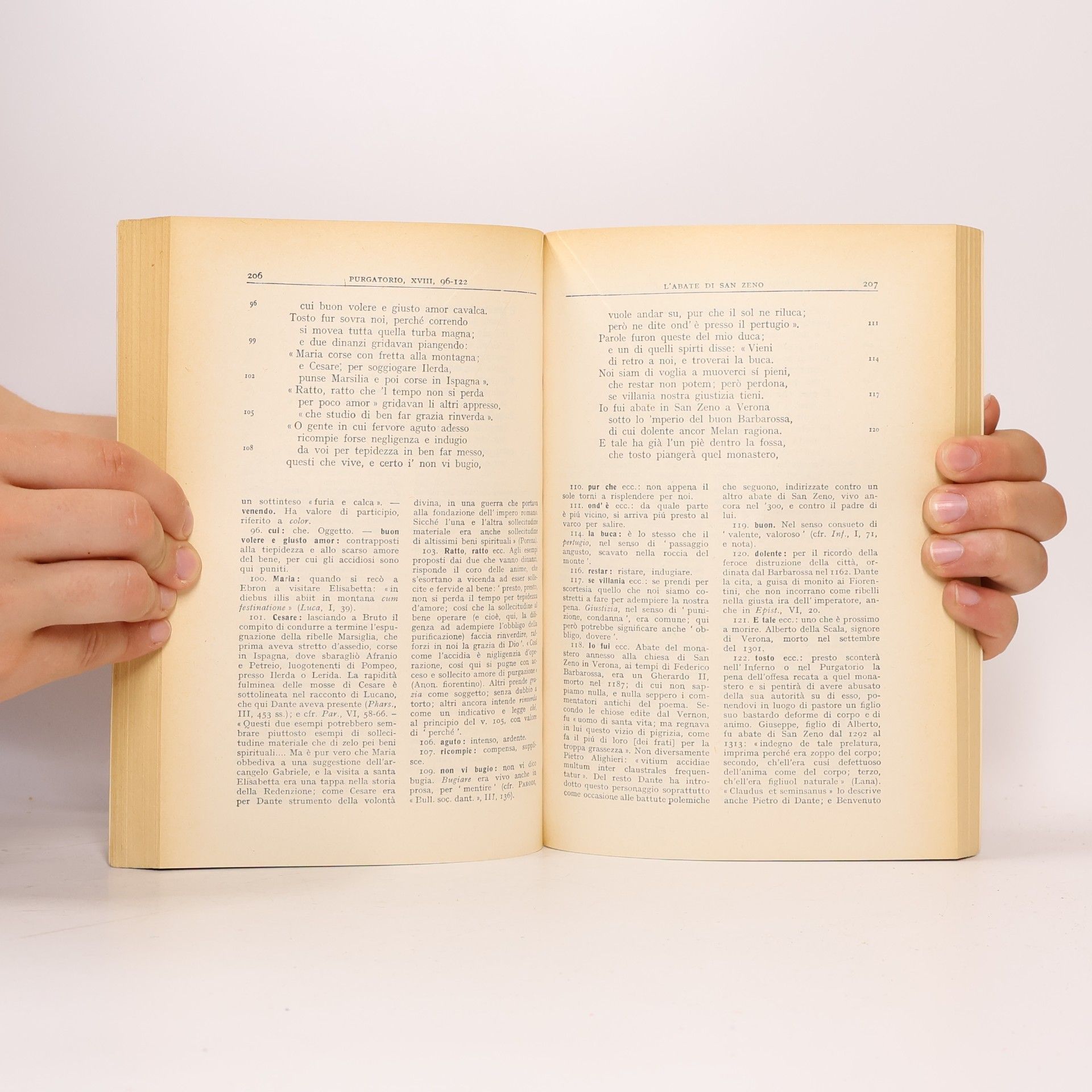 Dante Alighieri La Divina Commedia II